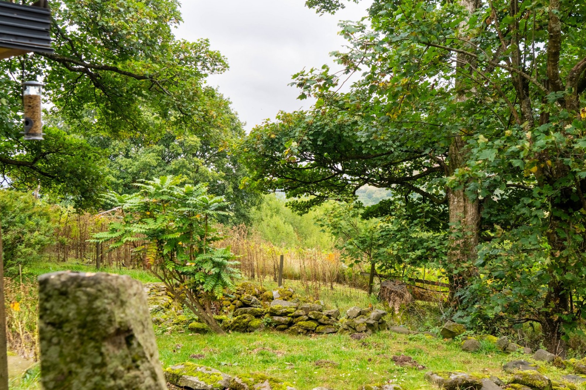 Images for Llanwrthwl, Llandrindod Wells, Powys