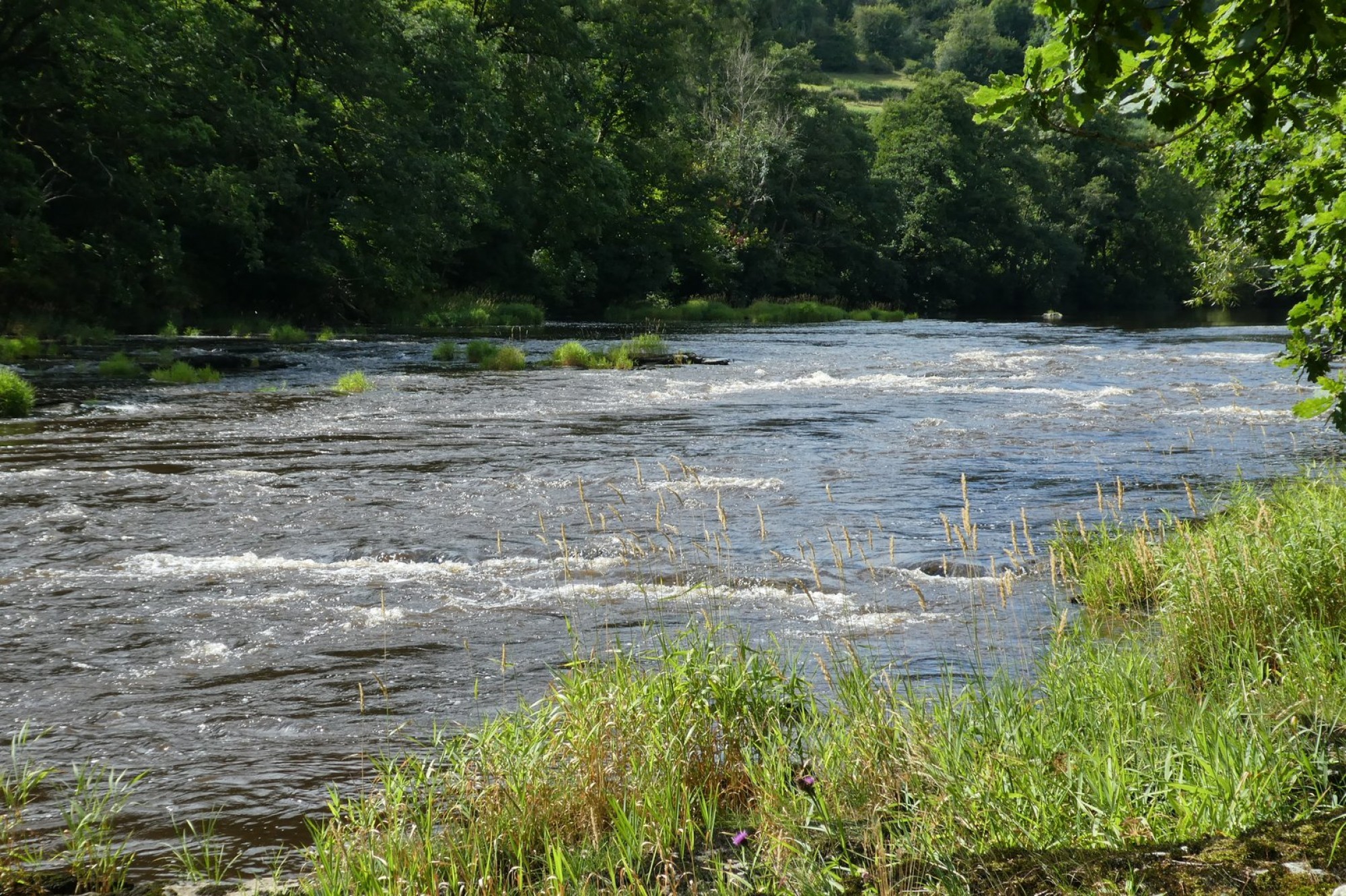 Images for Erwood, Builth Wells, Powys