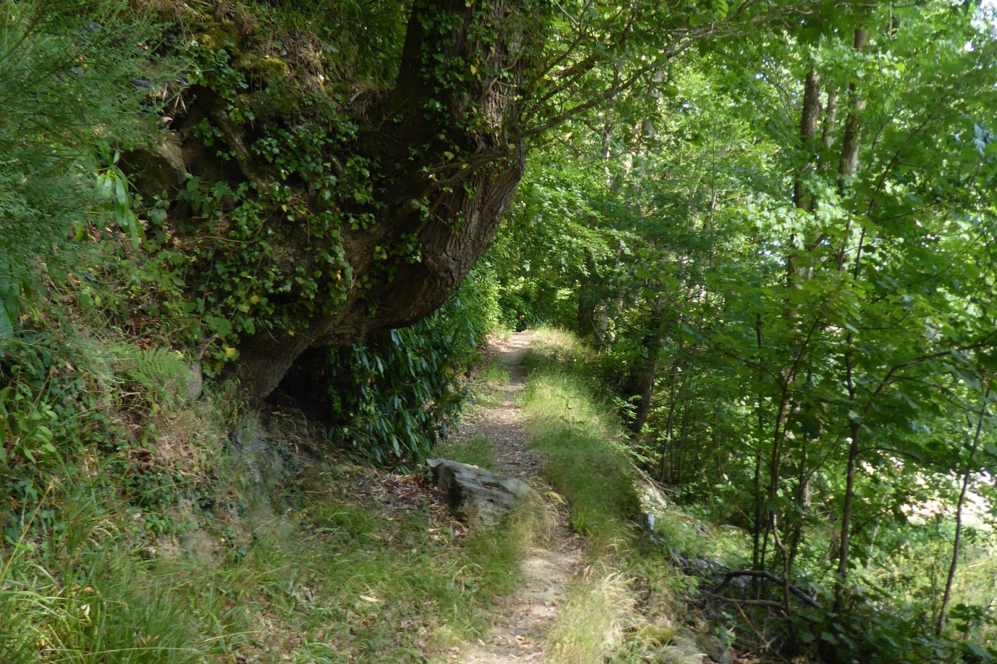 Images for Erwood, Builth Wells, Powys