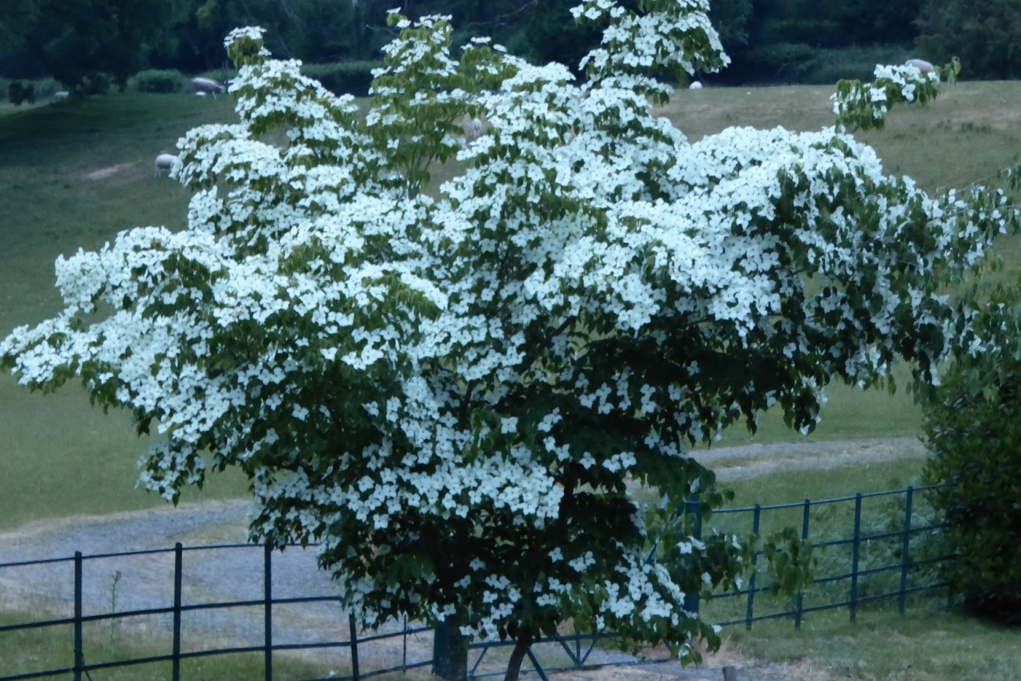 Images for Erwood, Builth Wells, Powys