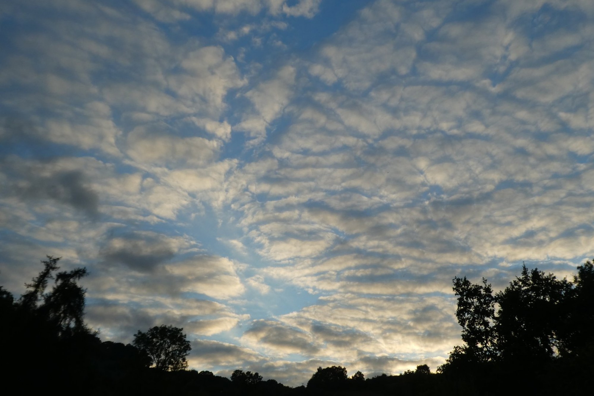 Images for Erwood, Builth Wells, Powys