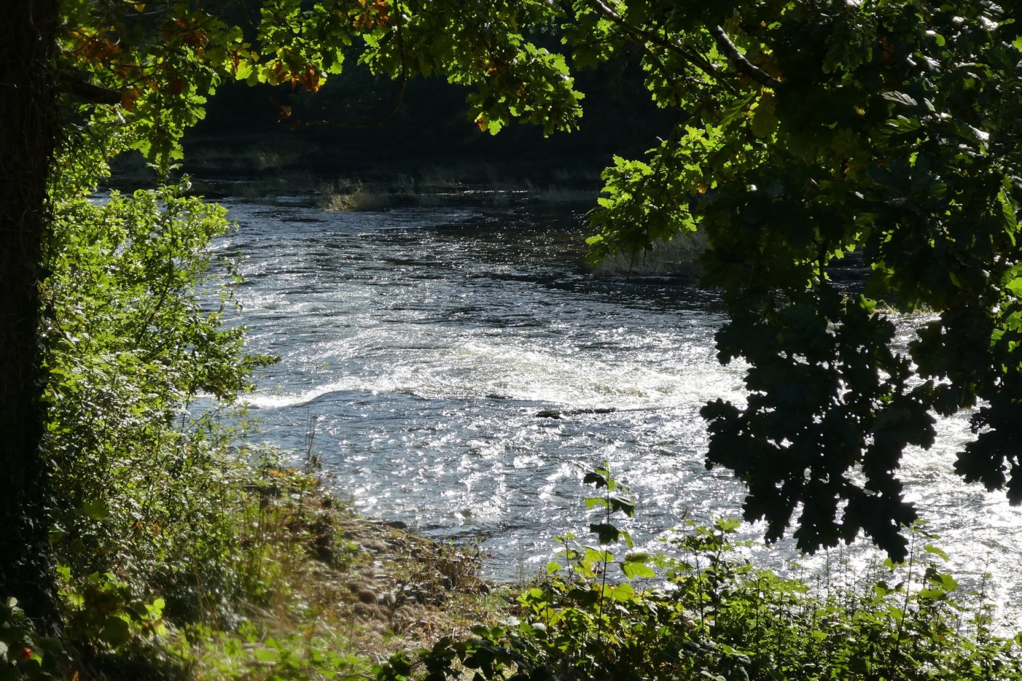 Images for Erwood, Builth Wells, Powys