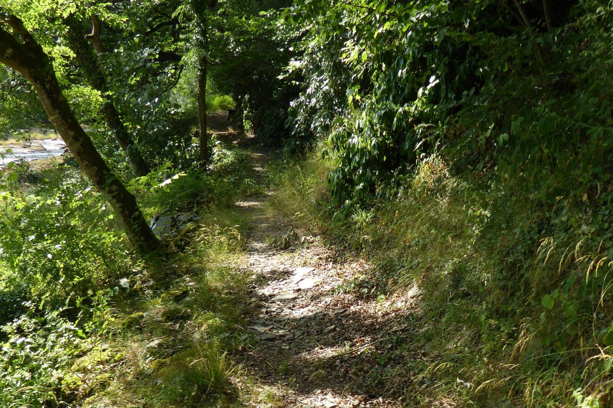 Images for Erwood, Builth Wells, Powys