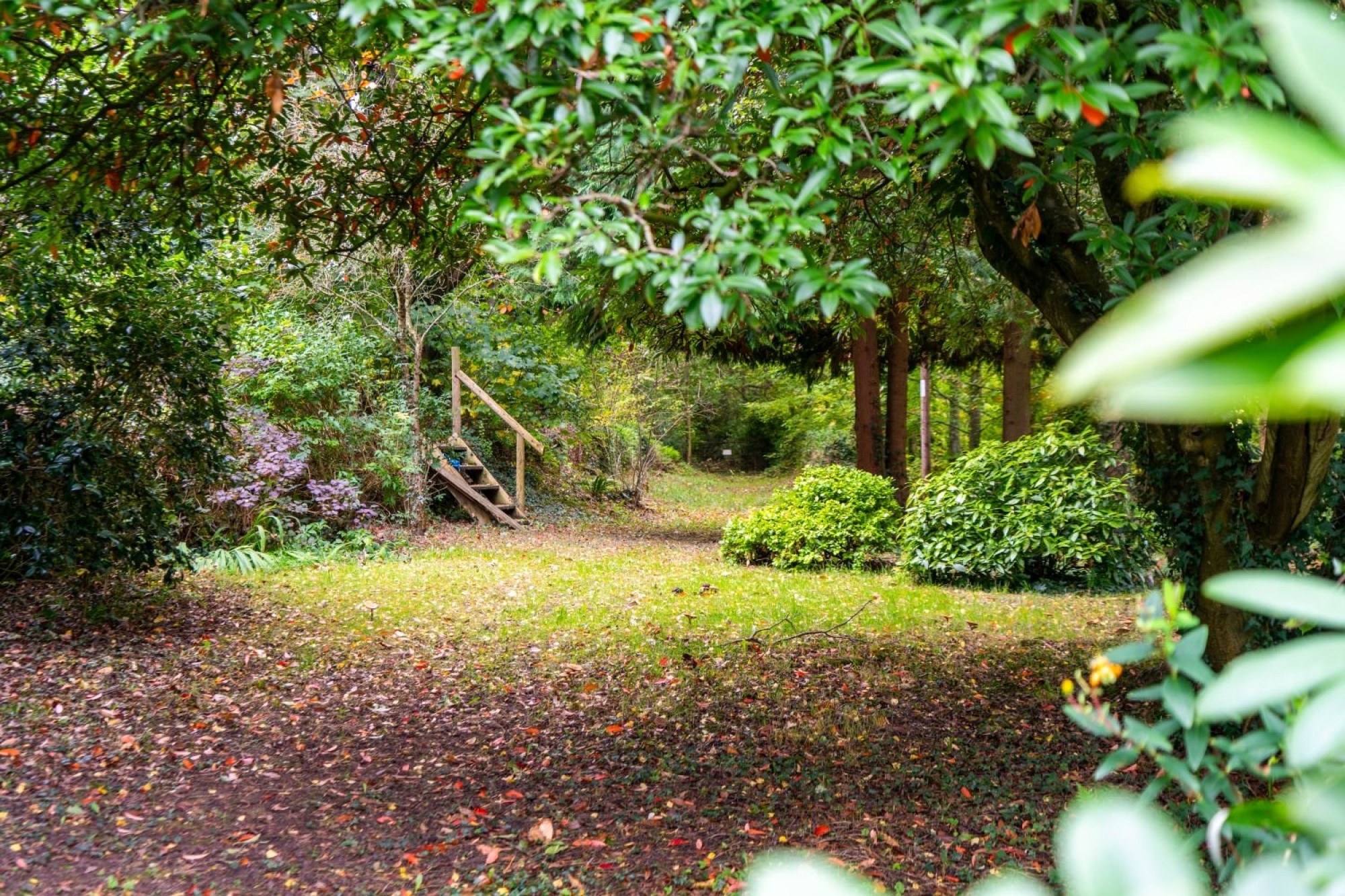 Images for Llanfrynach, Brecon, Powys