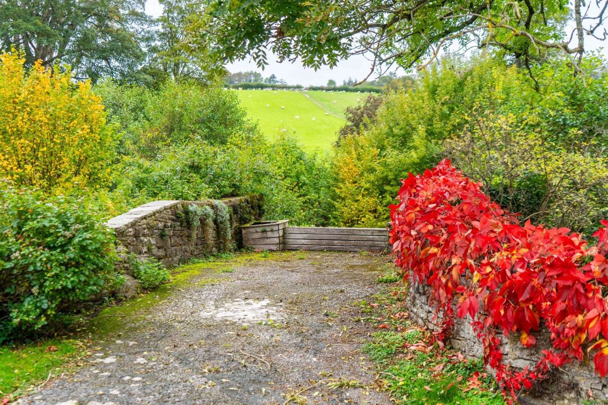 Images for Llanfrynach, Brecon, Powys