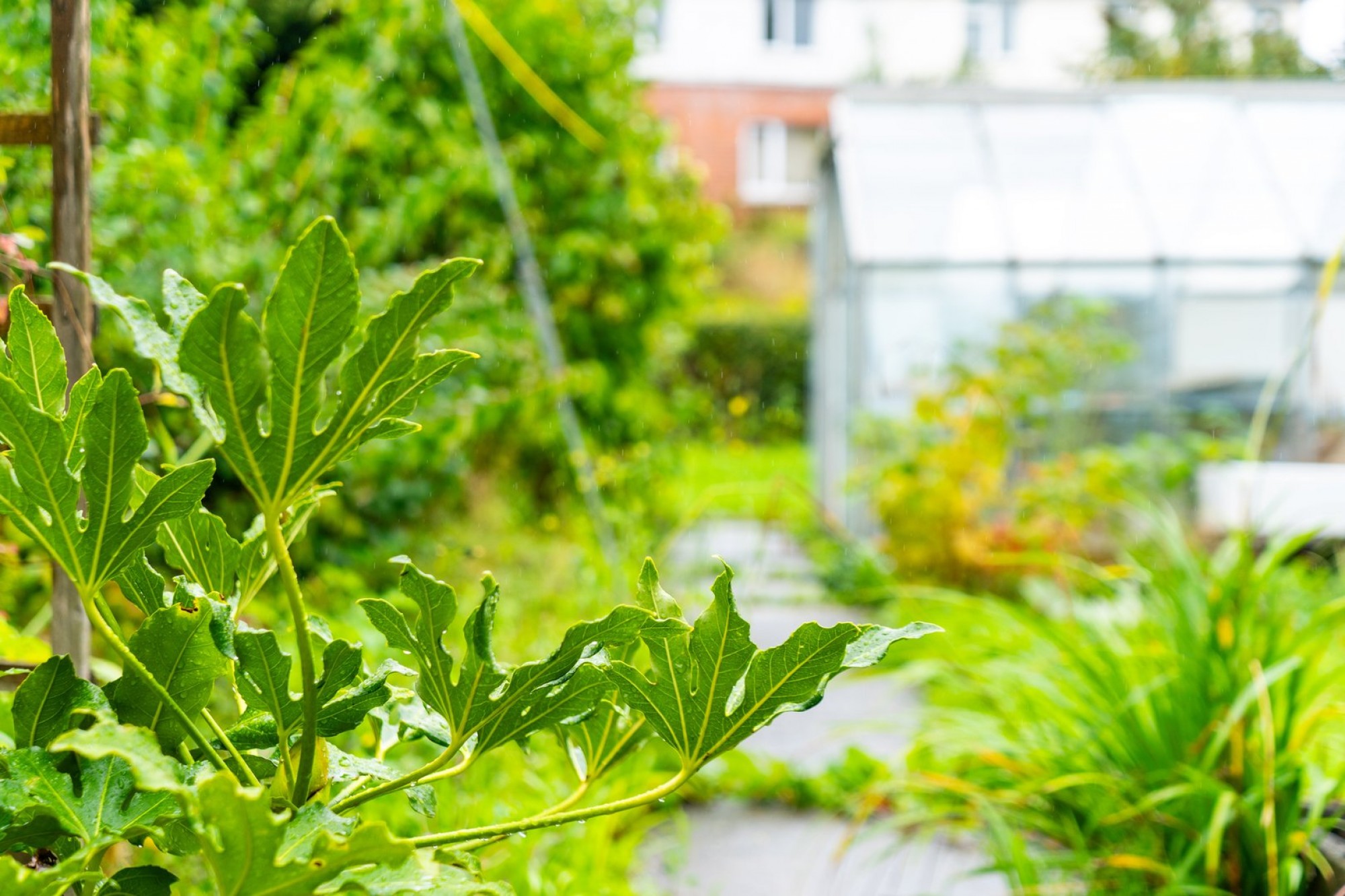 Images for Newry Road, Builth Wells, Powys