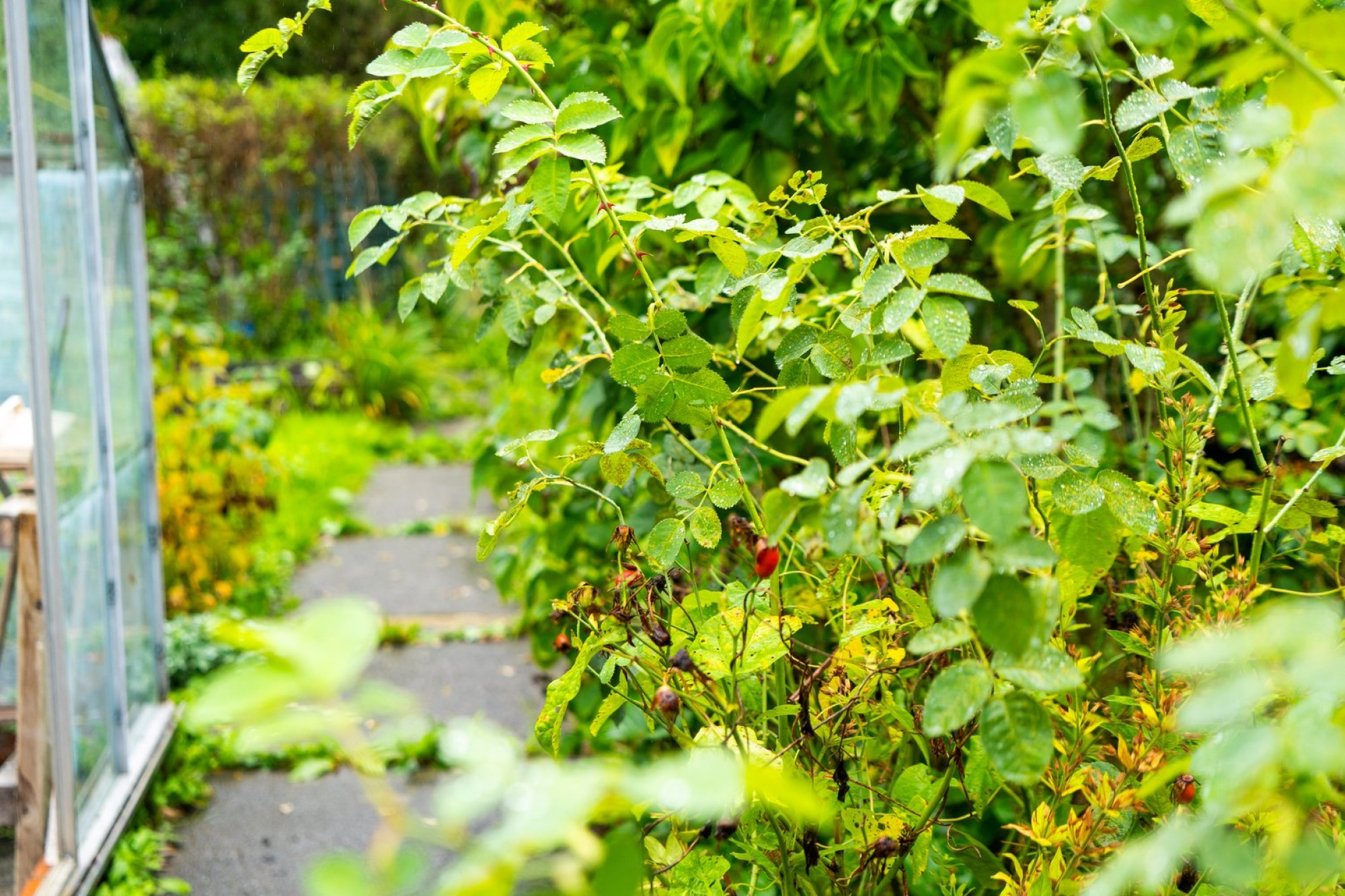 Images for Newry Road, Builth Wells, Powys