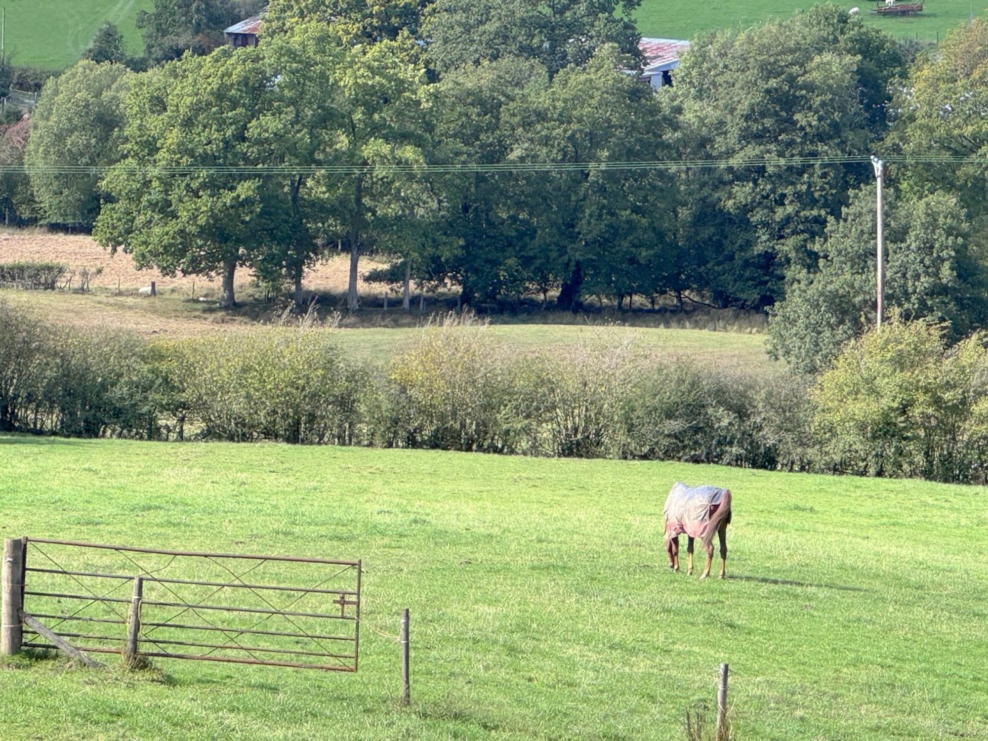 Images for Disserth, Builth Wells, Powys