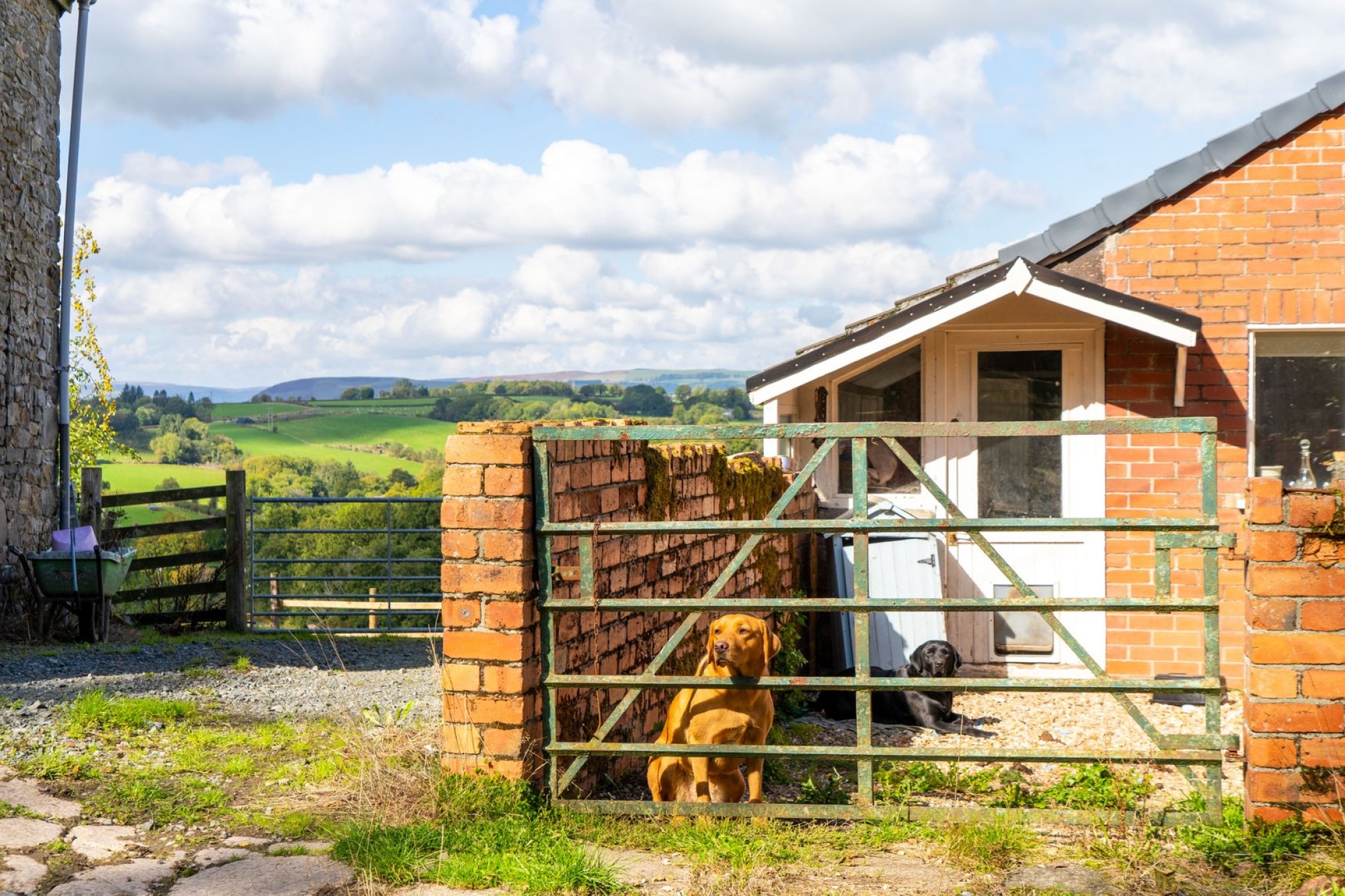 Images for Disserth, Builth Wells, Powys