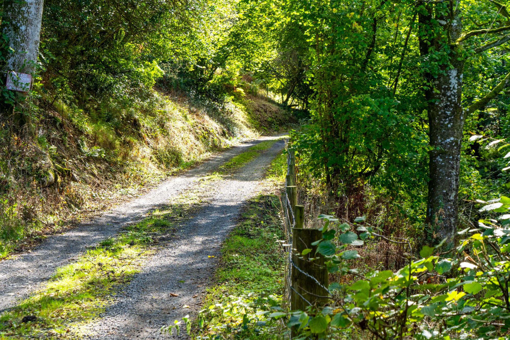Images for Disserth, Builth Wells, Powys