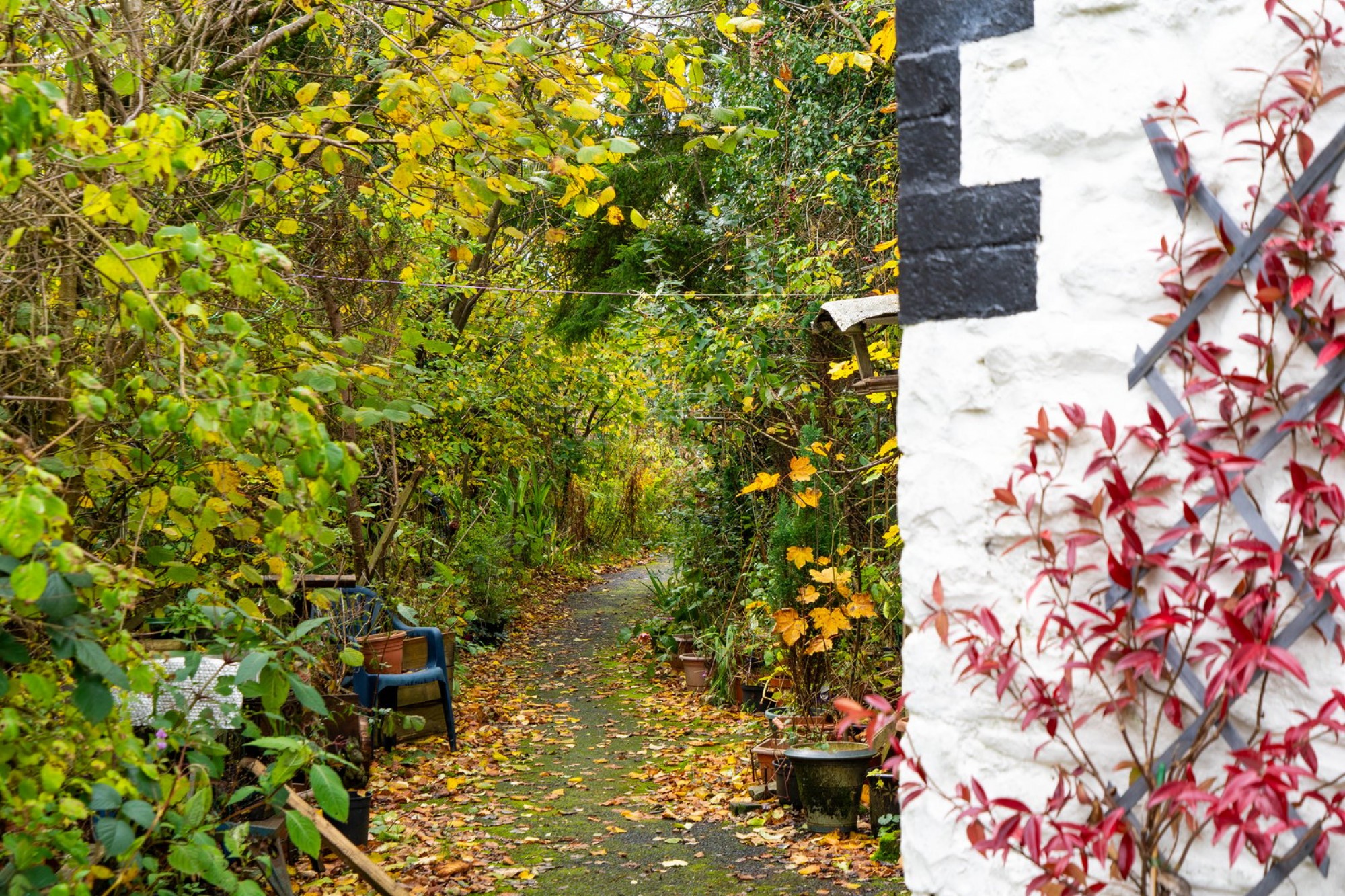 Images for Riverside, Llanwrtyd Wells, Powys