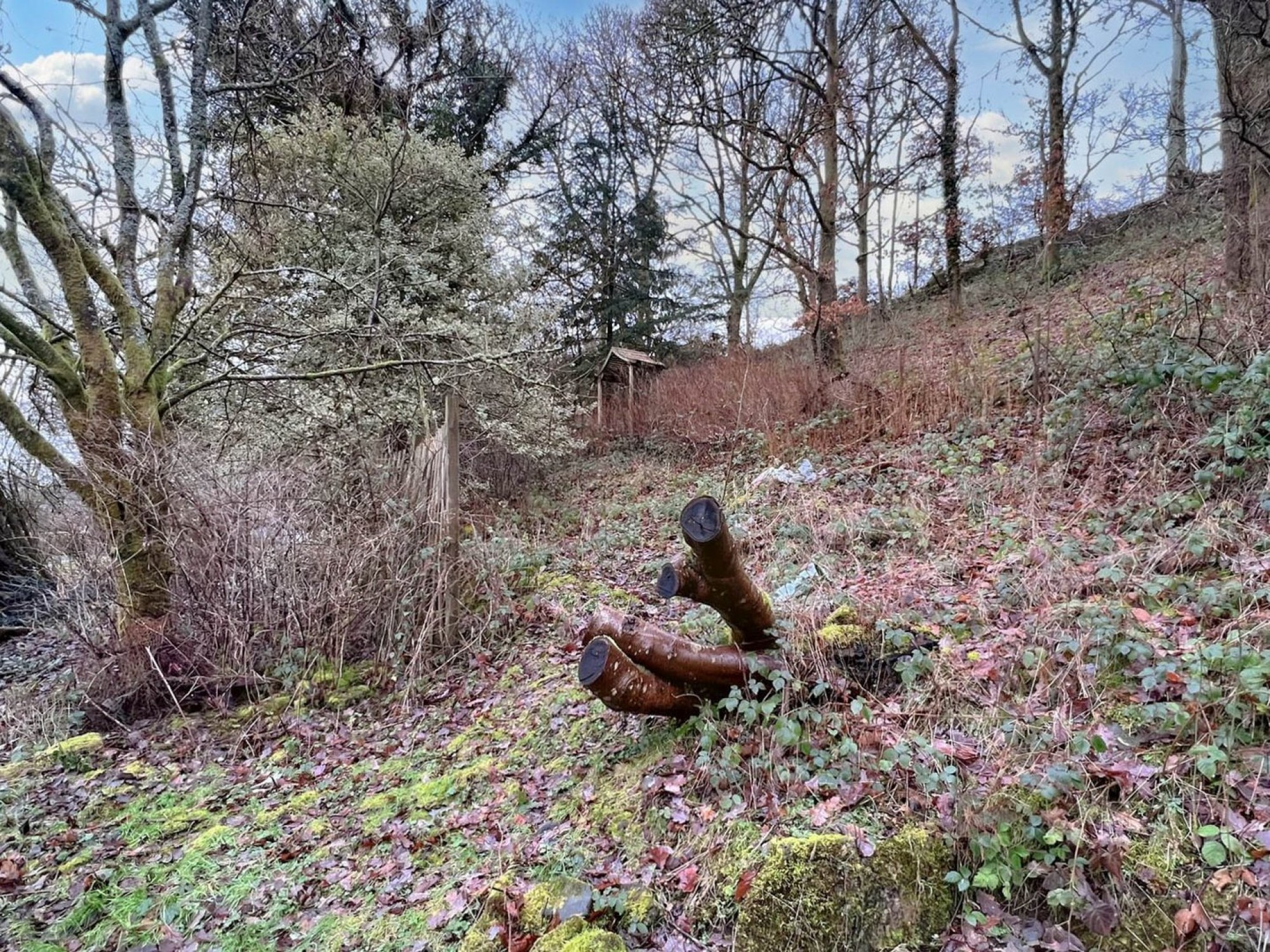 Images for Llangammarch Wells, Powys