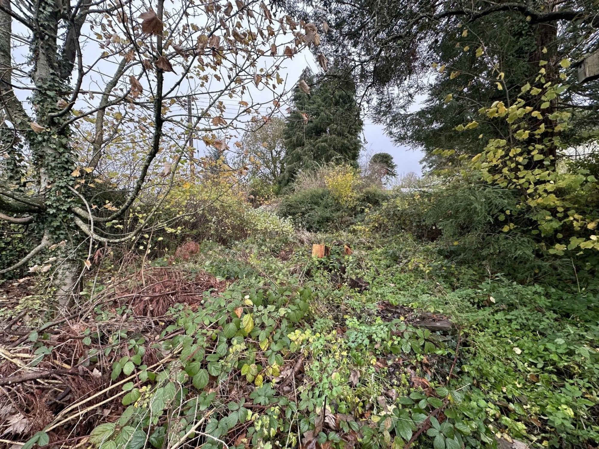 Images for Trecastle, Brecon, Powys