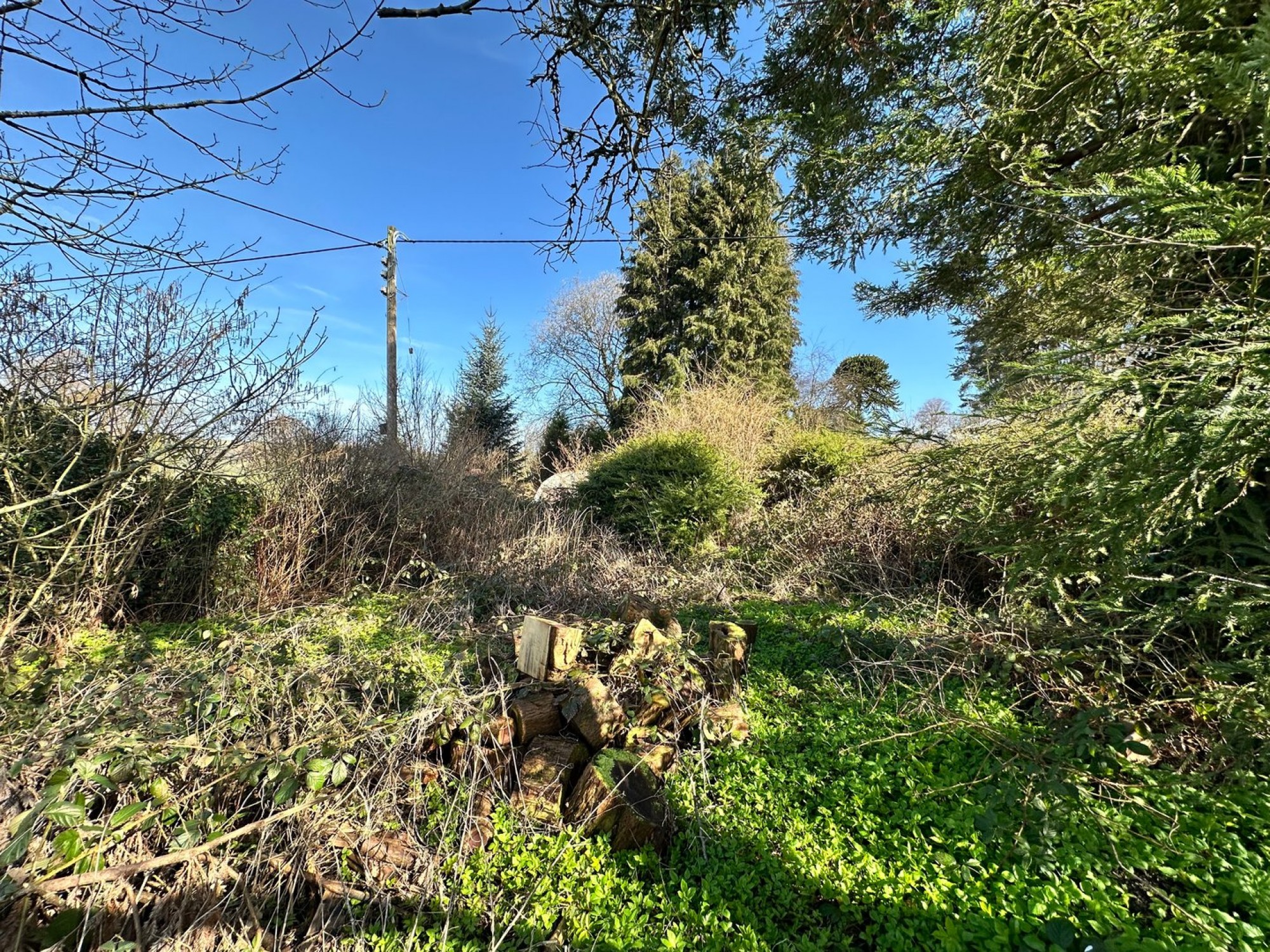 Images for Trecastle, Brecon, Powys