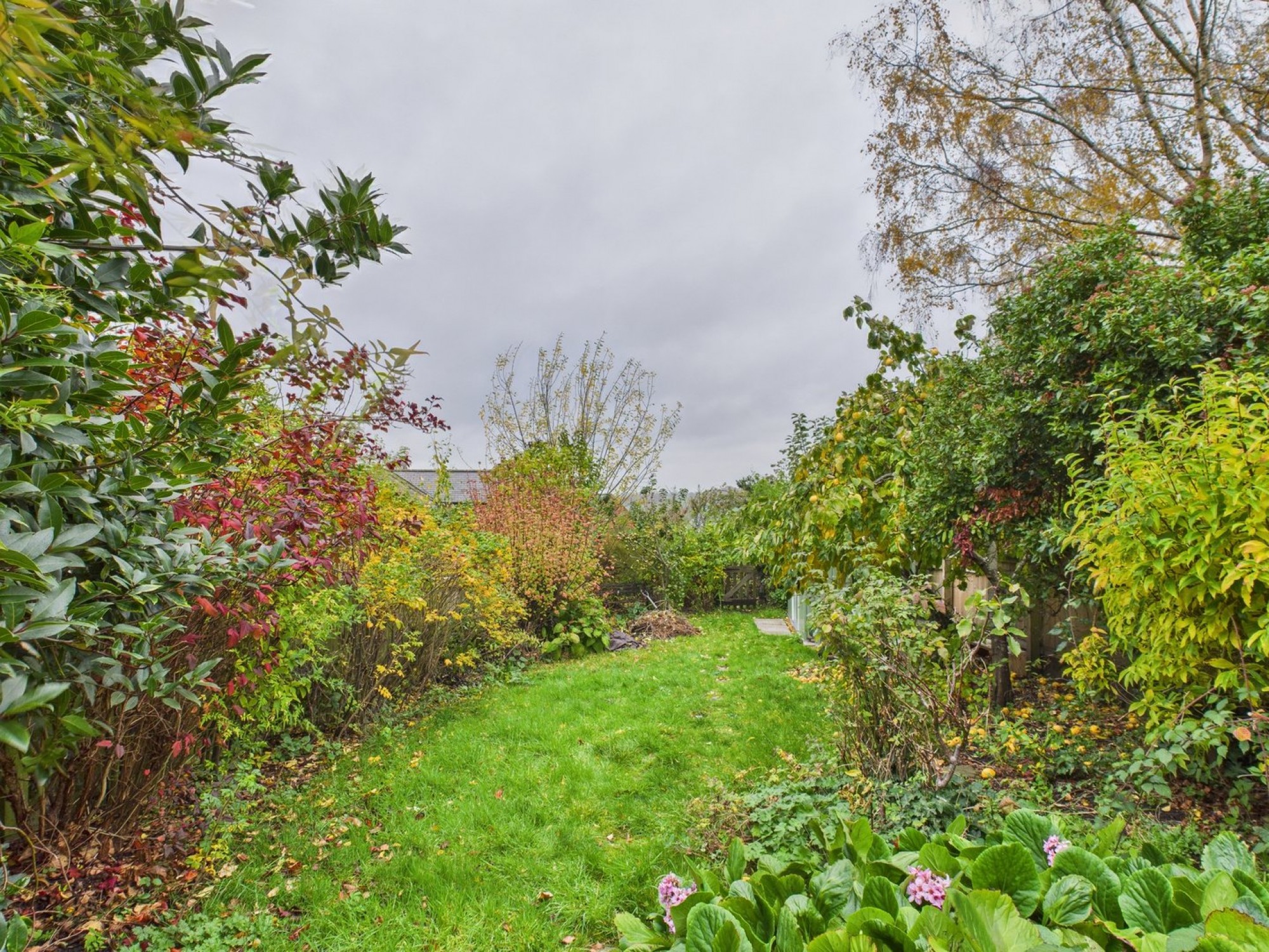 Images for High Street, Ruardean, Gloucestershire