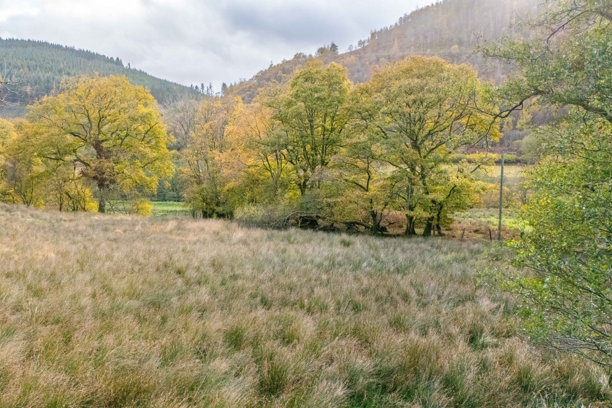 Images for Llanwrtyd Wells, Powys
