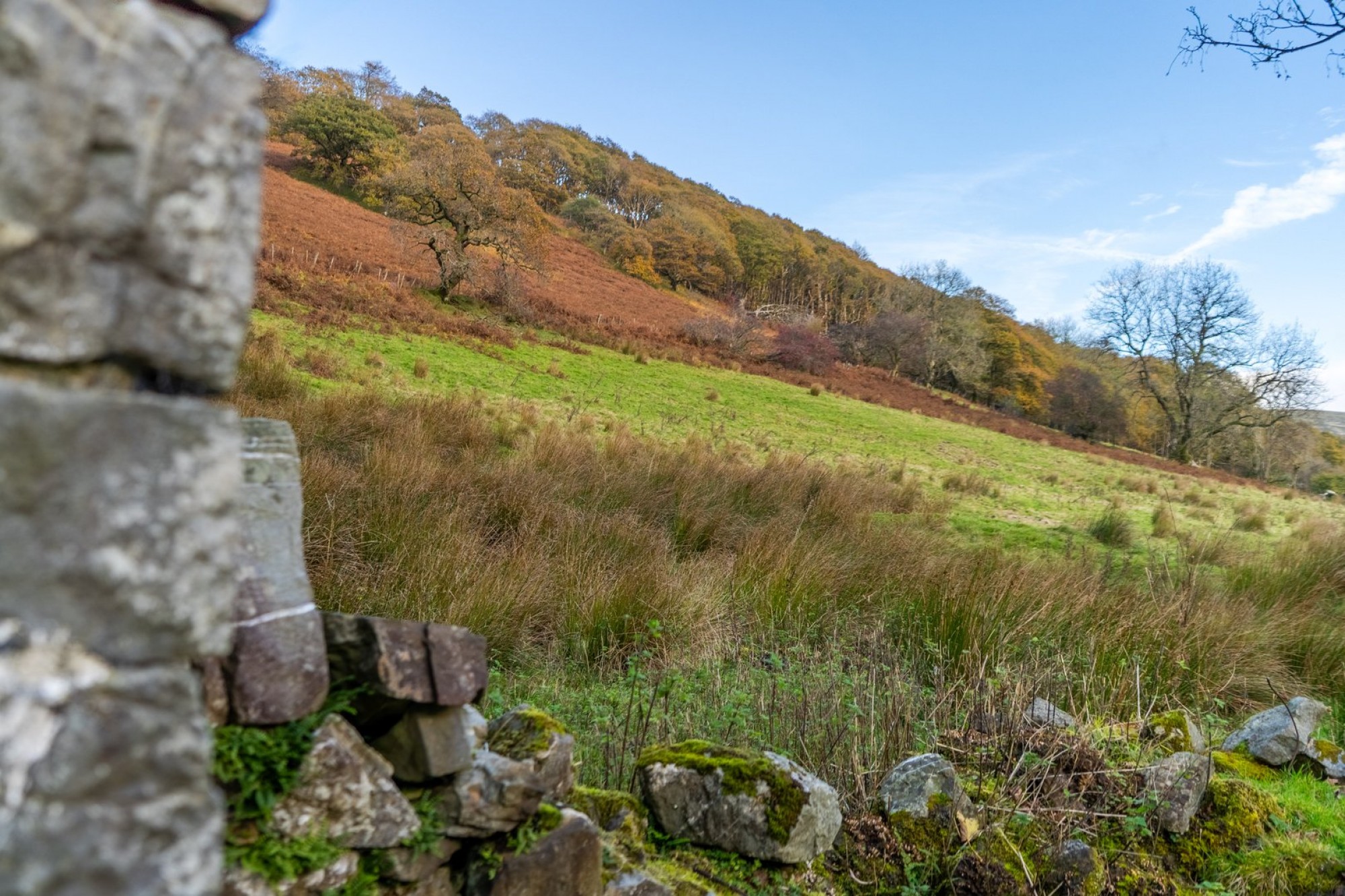 Images for Llanwrtyd Wells, Powys