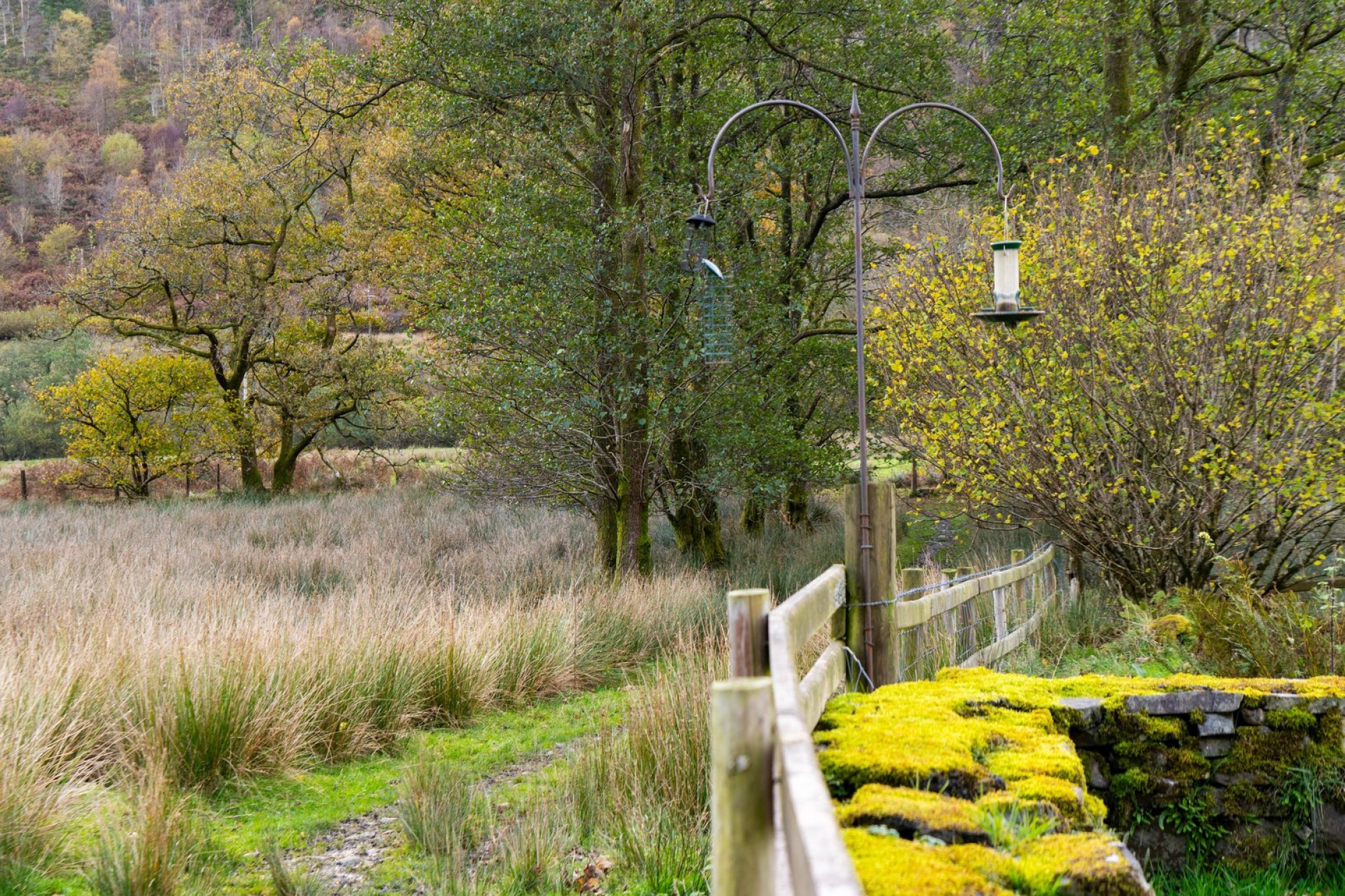 Images for Llanwrtyd Wells, Powys