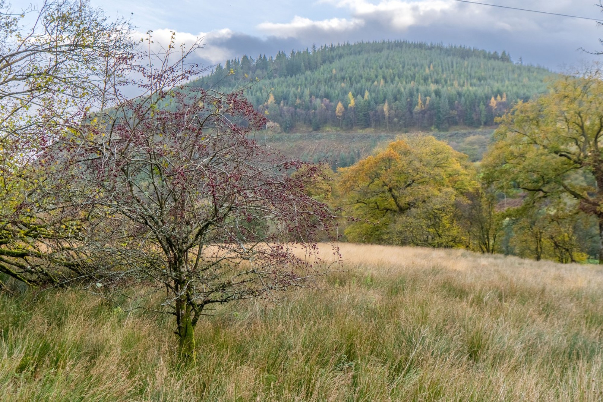 Images for Llanwrtyd Wells, Powys