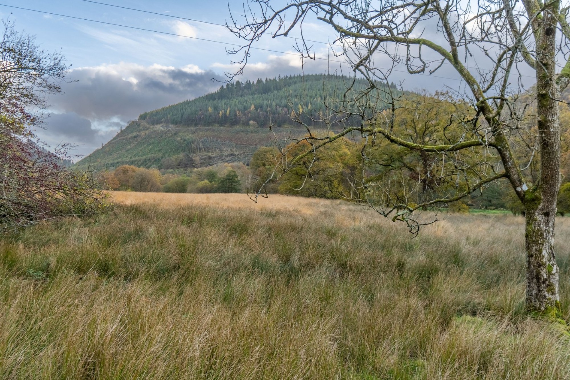 Images for Llanwrtyd Wells, Powys