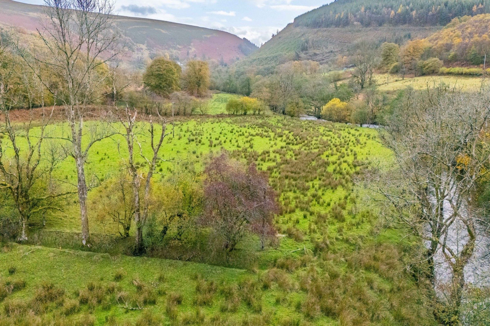 Images for Llanwrtyd Wells, Powys