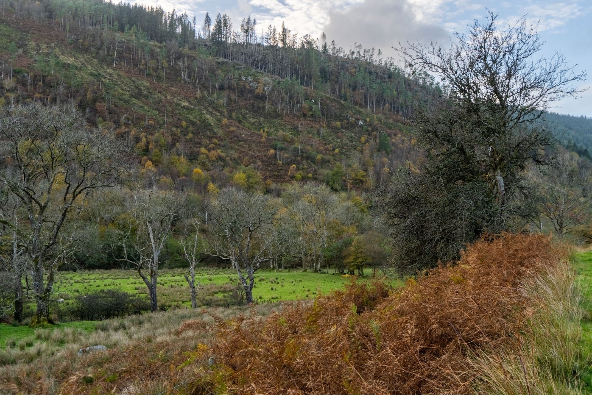 Images for Llanwrtyd Wells, Powys