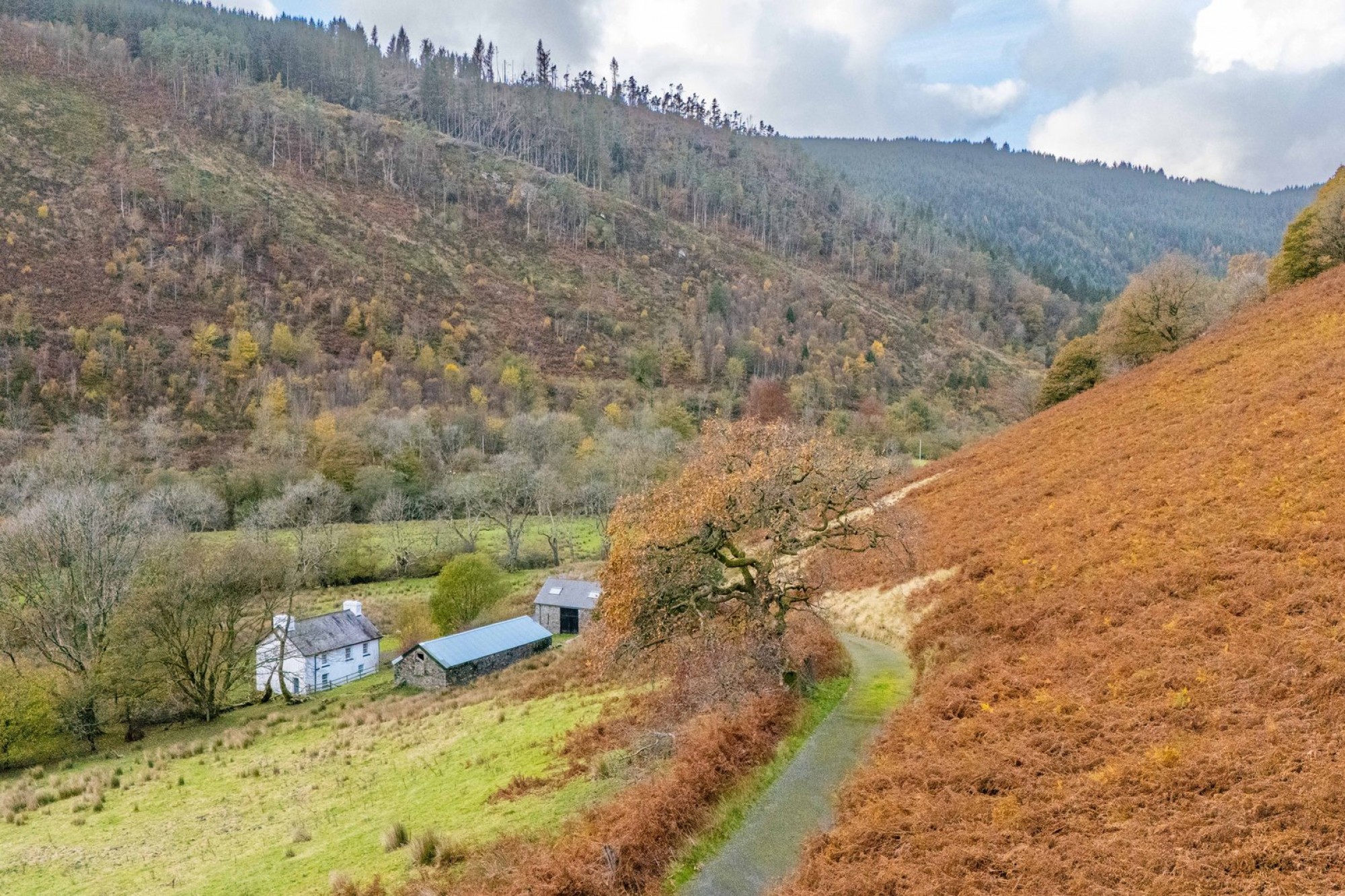 Images for Llanwrtyd Wells, Powys