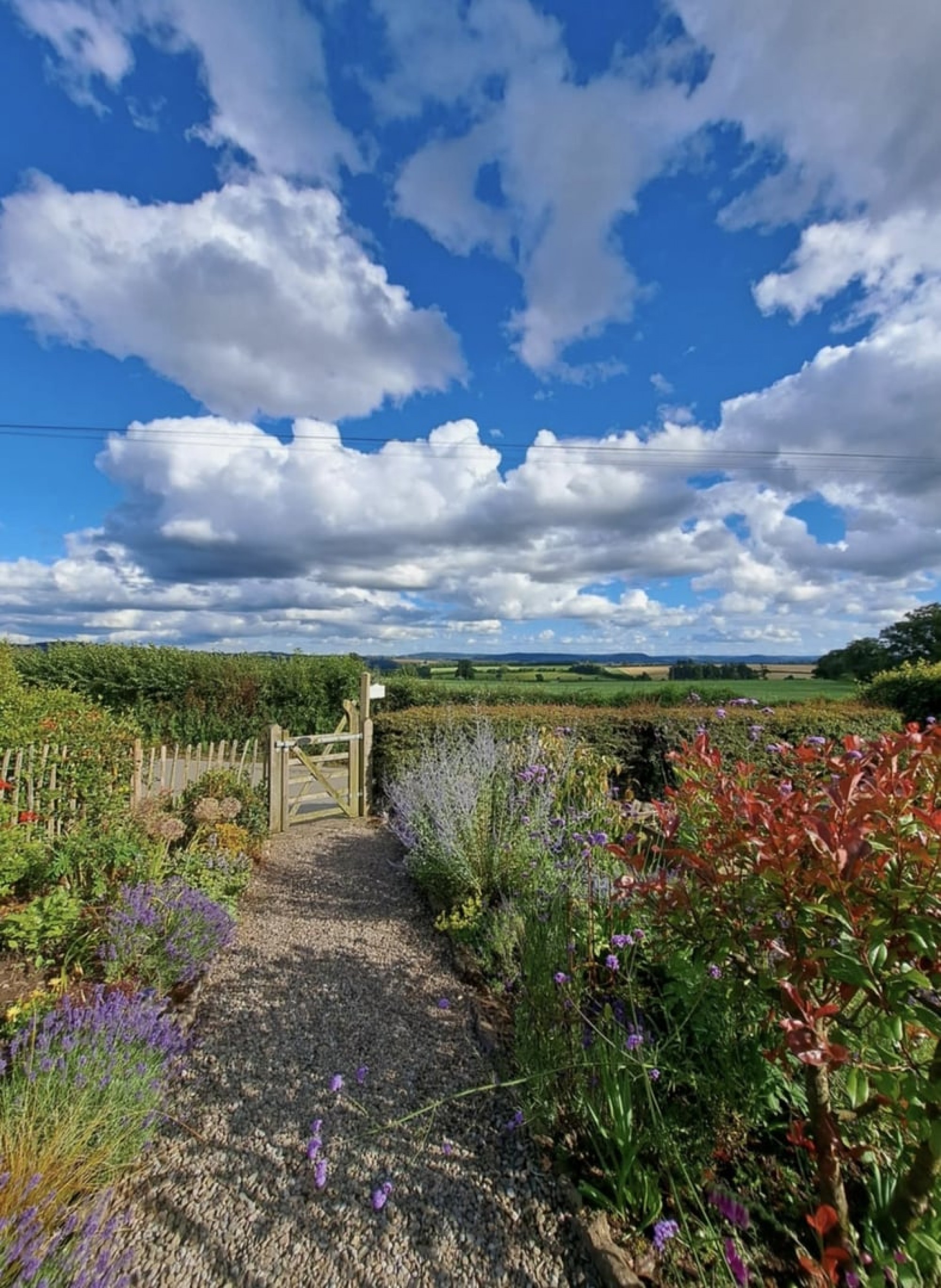 Images for Brockhampton, Hereford