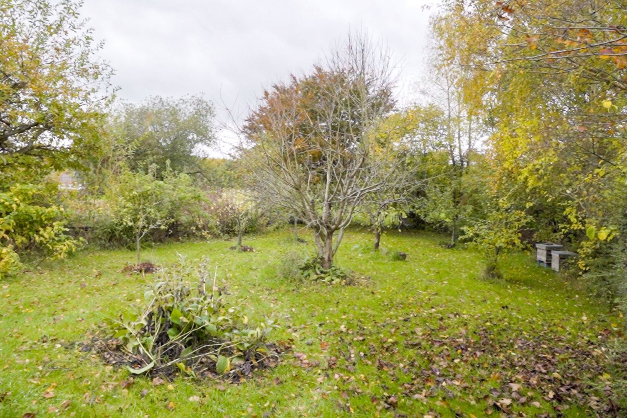 Images for Builth Road, Builth Wells, Powys