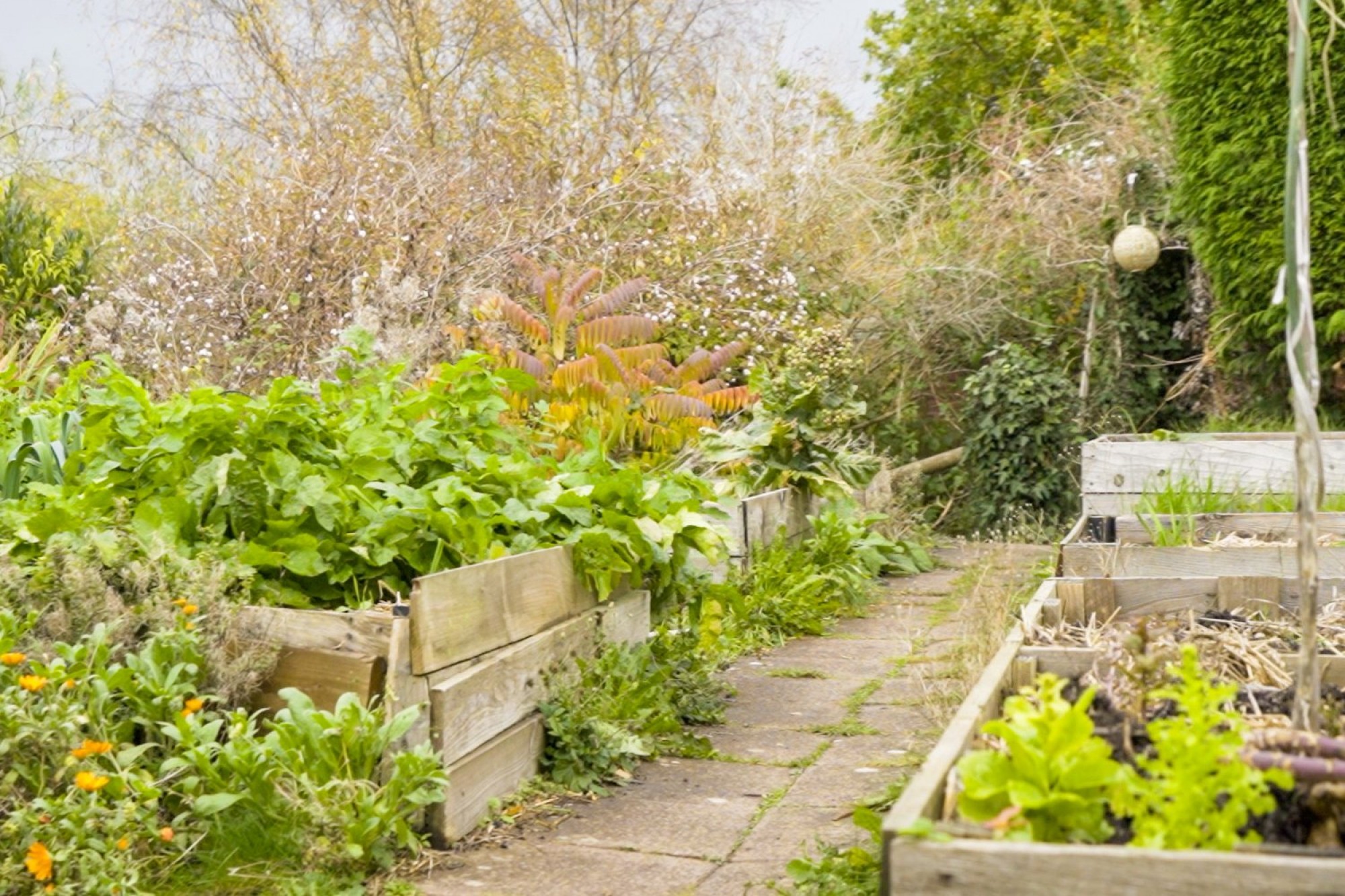 Images for Builth Road, Builth Wells, Powys