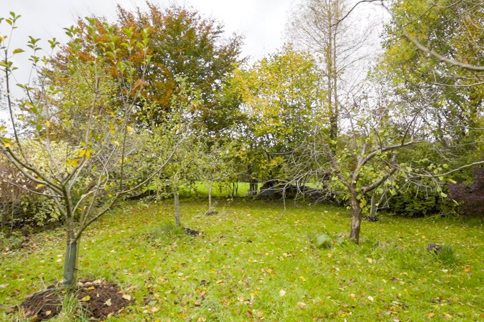 Images for Builth Road, Builth Wells, Powys