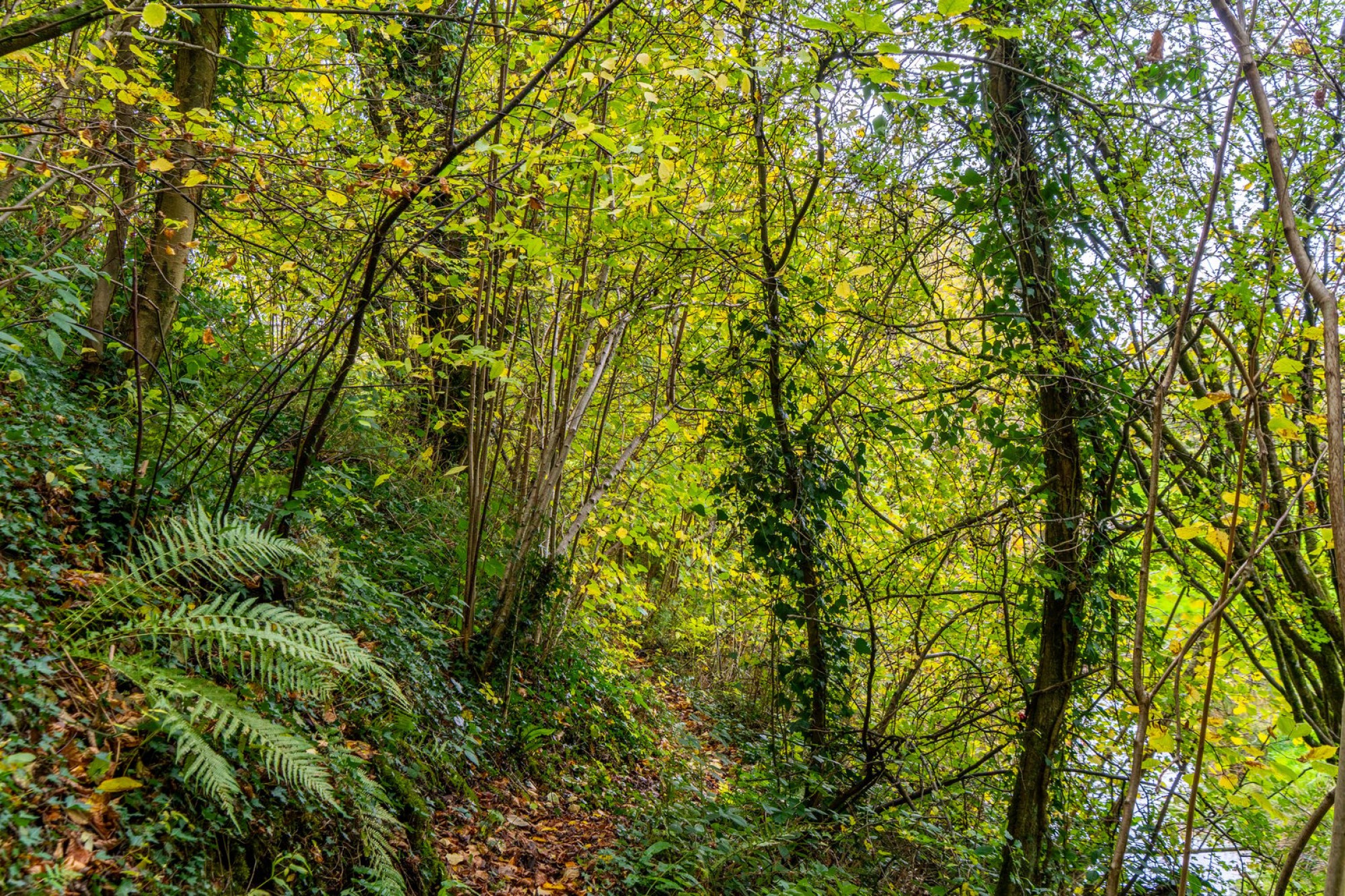 Images for Builth Road, Builth Wells, Powys