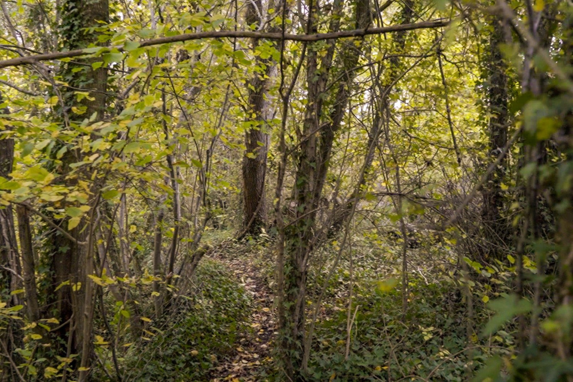 Images for Builth Road, Builth Wells, Powys