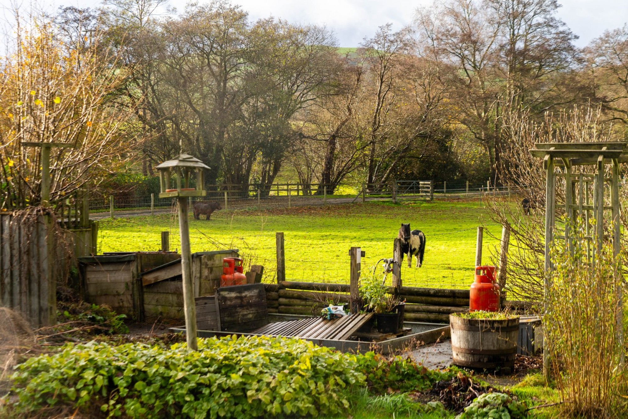 Images for Llanyre, Llandrindod Wells, Powys