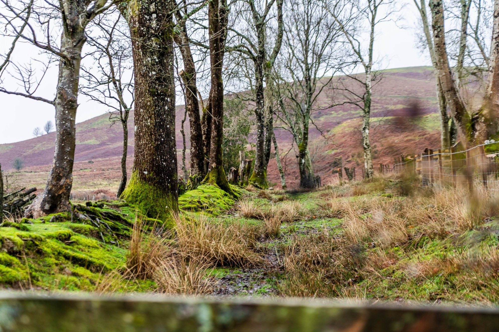 Images for Hundred House, Llandrindod Wells, Powys