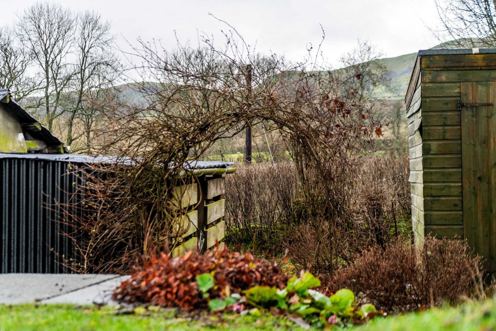 Images for Hundred House, Llandrindod Wells, Powys