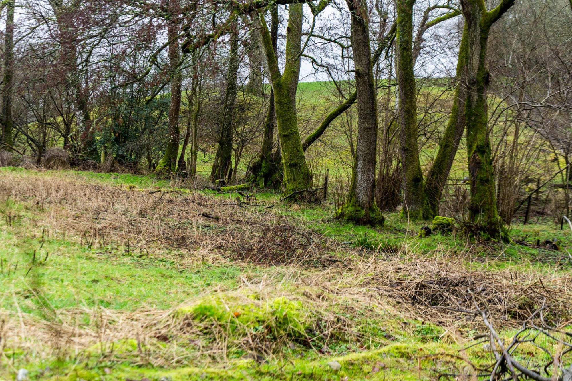 Images for Franksbridge, Llandrindod Wells, Powys