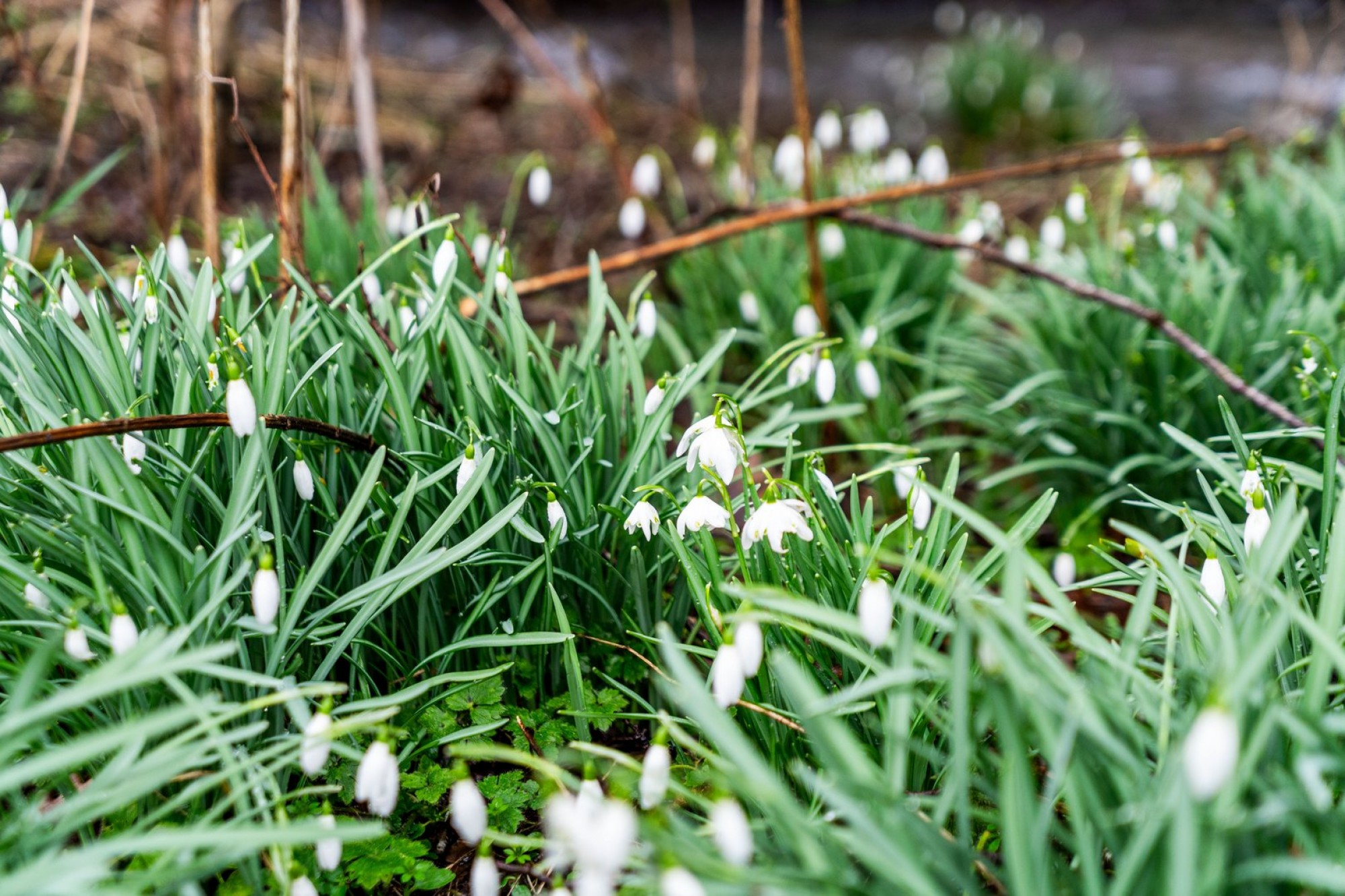 Images for Franksbridge, Llandrindod Wells, Powys