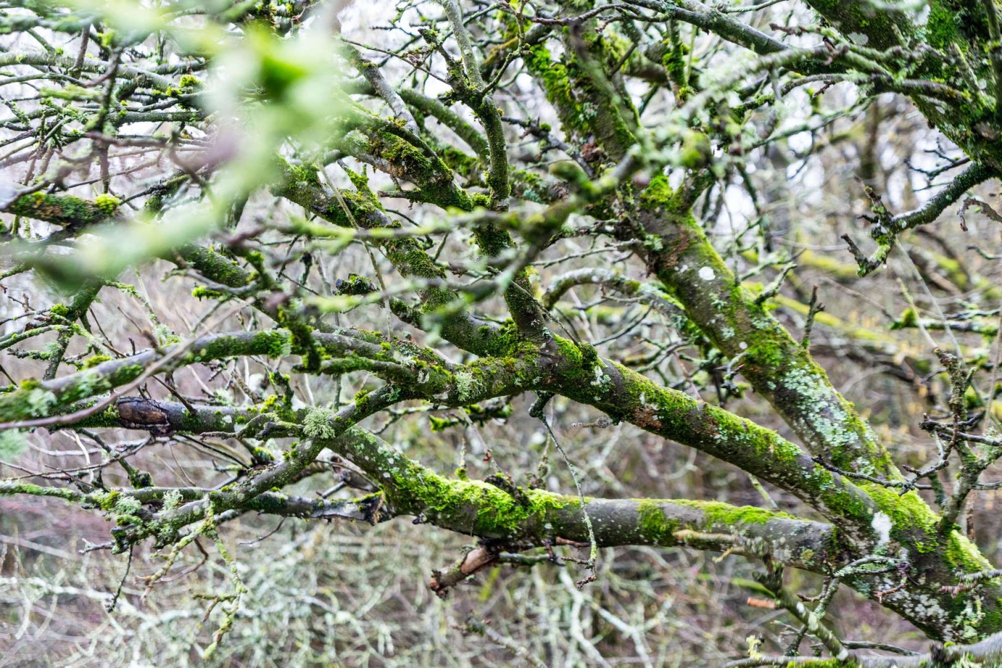 Images for Franksbridge, Llandrindod Wells, Powys