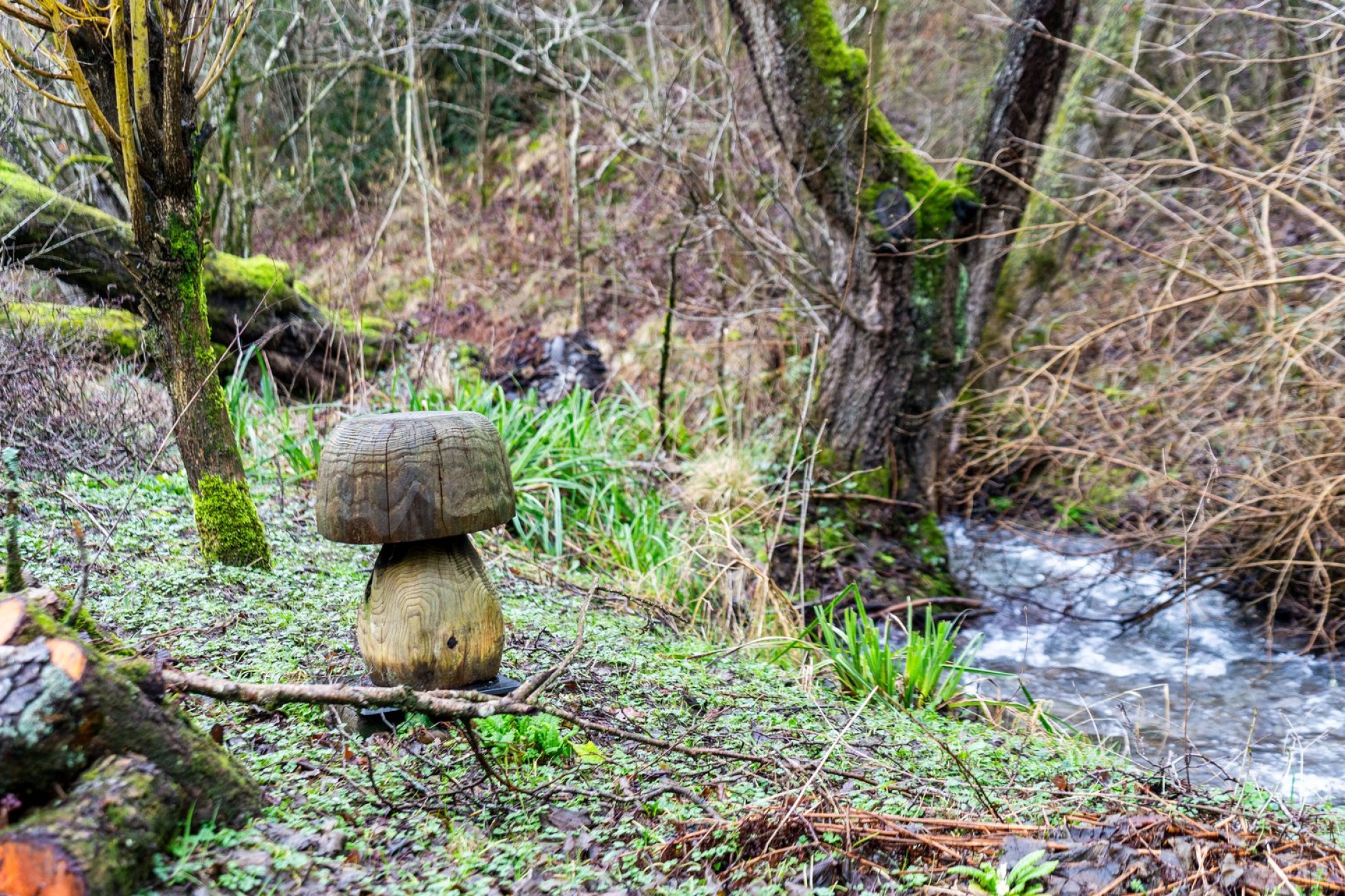 Images for Franksbridge, Llandrindod Wells, Powys