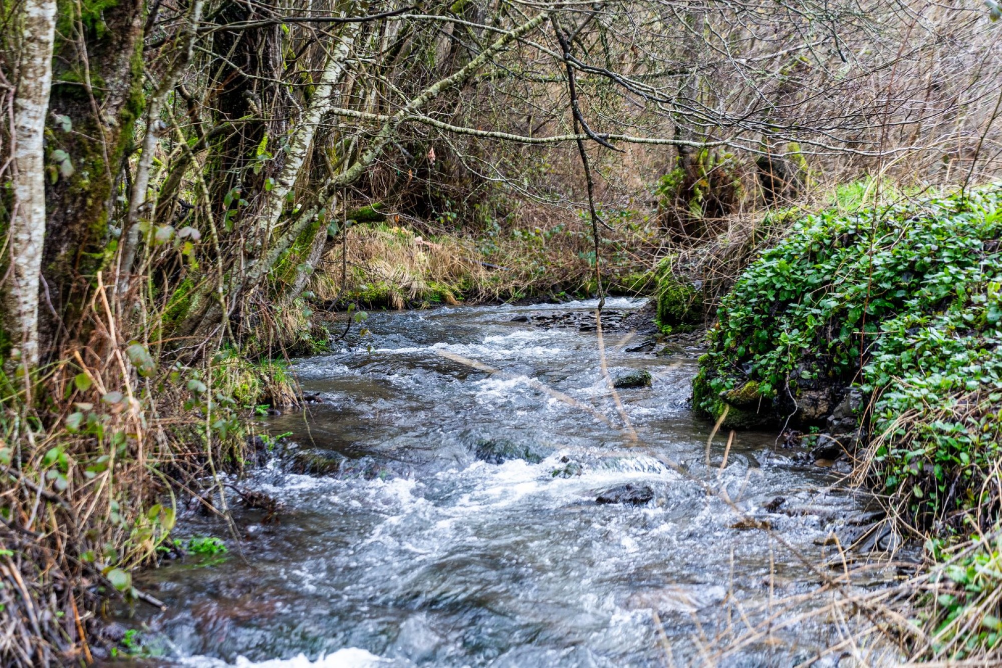 Images for Franksbridge, Llandrindod Wells, Powys