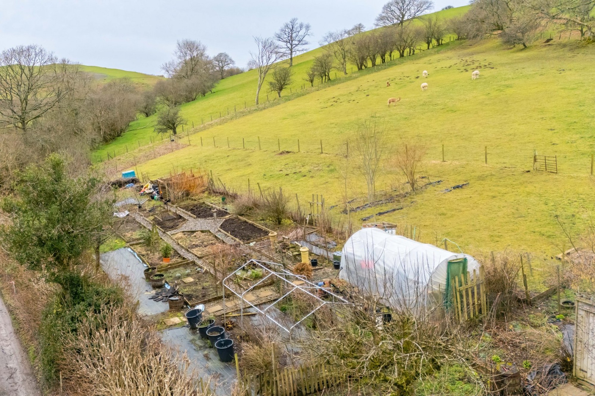 Images for Llanyre, Llandrindod Wells, Powys