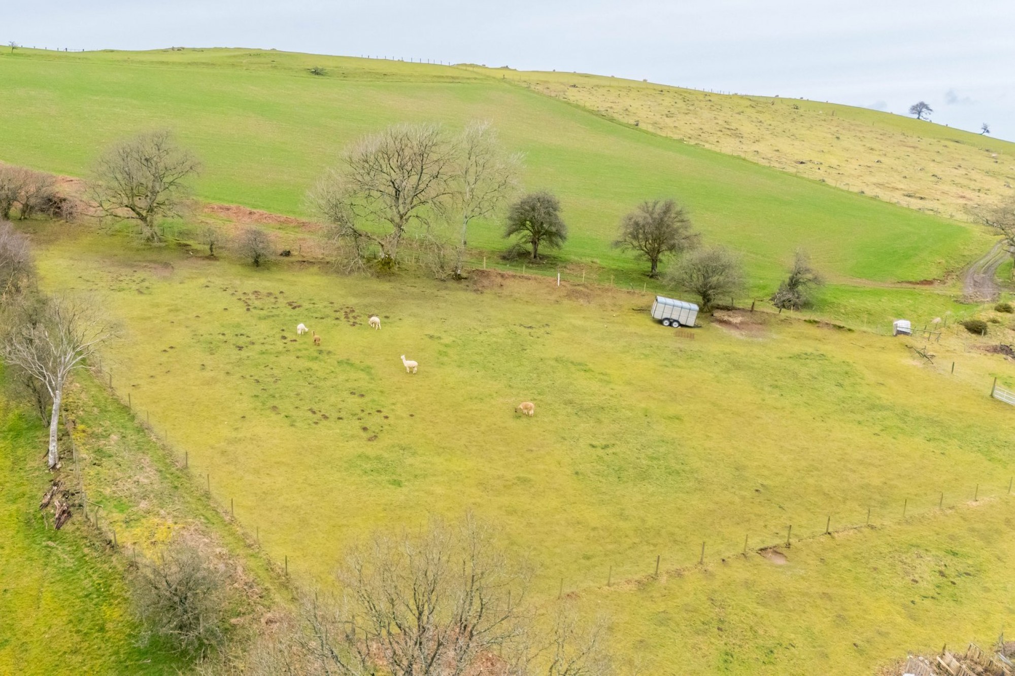 Images for Llanyre, Llandrindod Wells, Powys