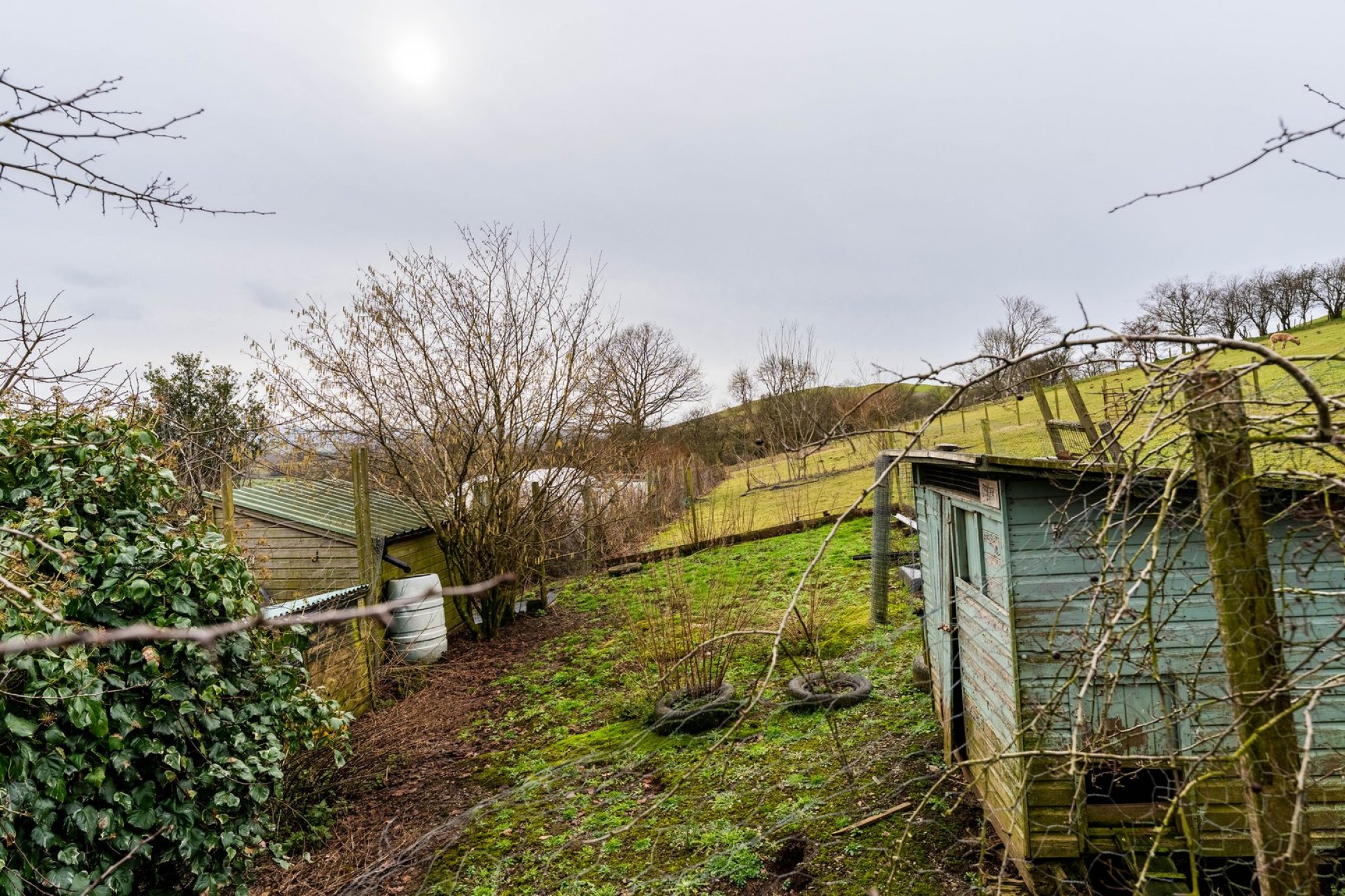 Images for Llanyre, Llandrindod Wells, Powys