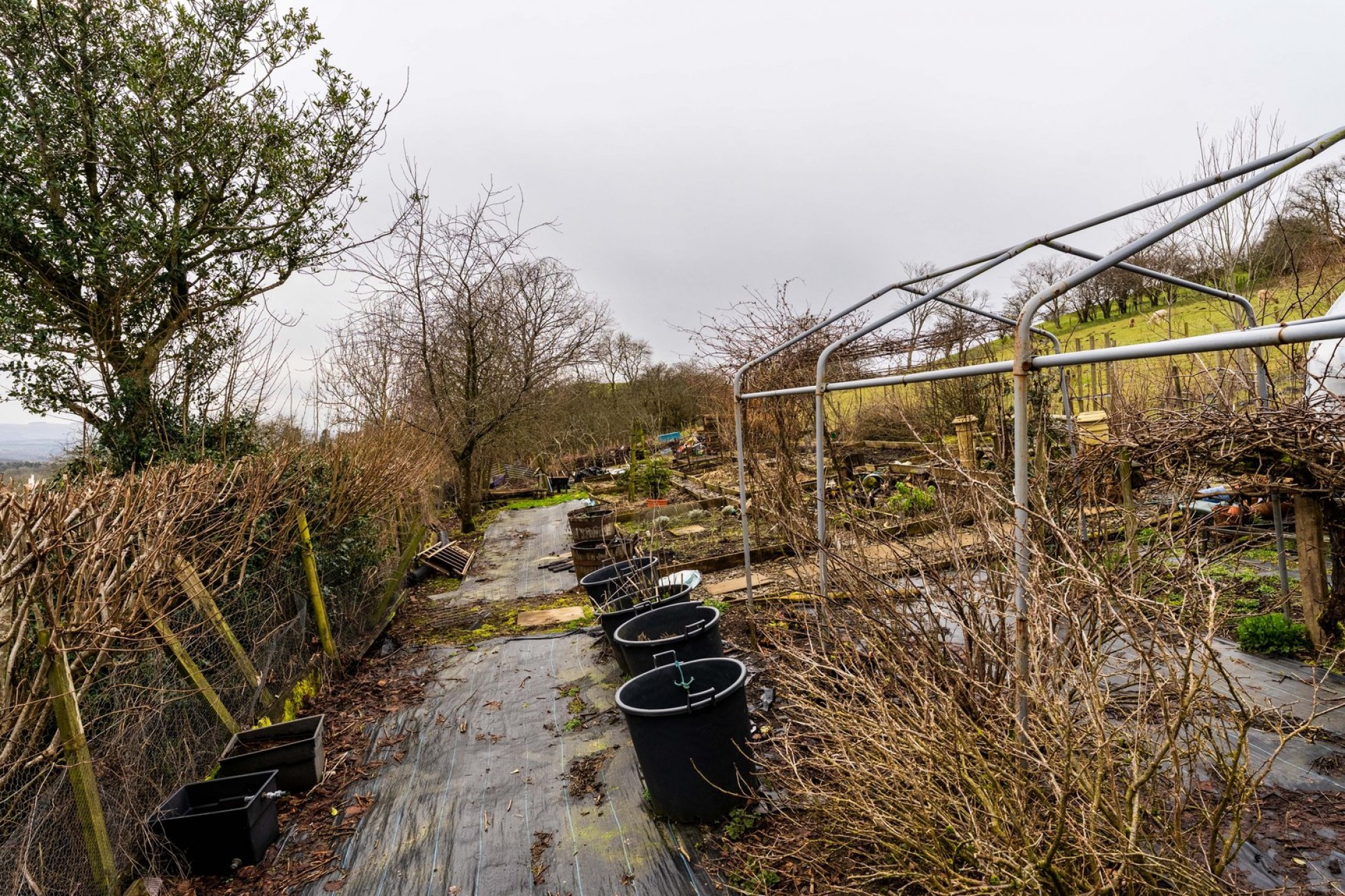 Images for Llanyre, Llandrindod Wells, Powys