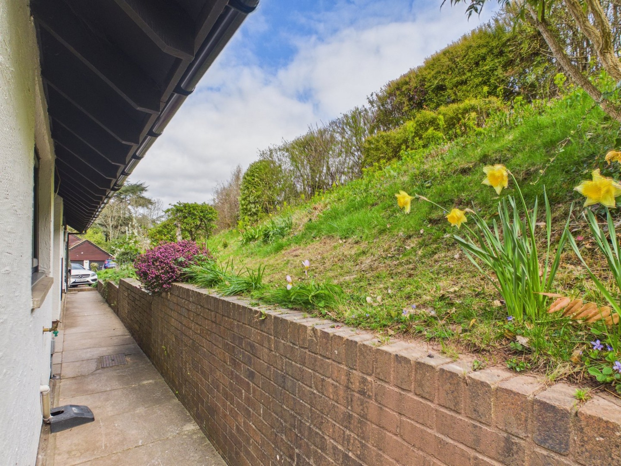 Images for Mitchel Troy, Monmouth