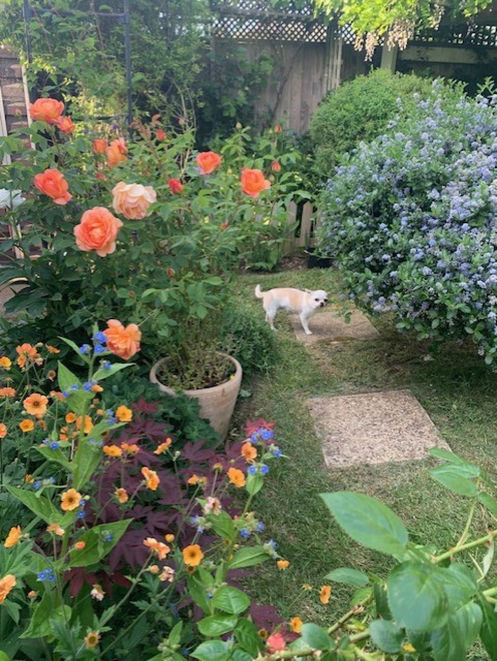 Images for Tudorville, Ross-on-Wye, Herefordshire