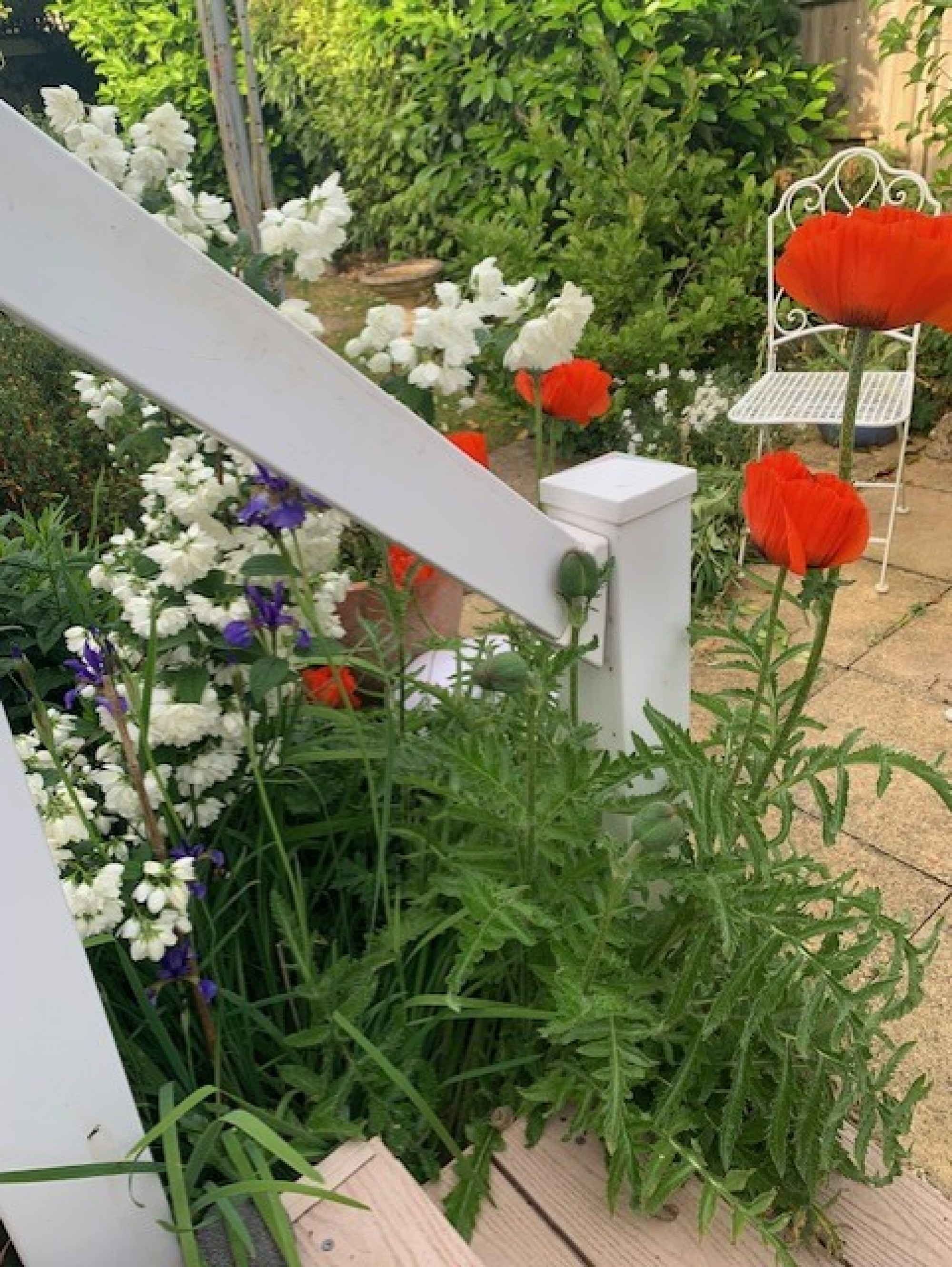 Images for Tudorville, Ross-on-Wye, Herefordshire