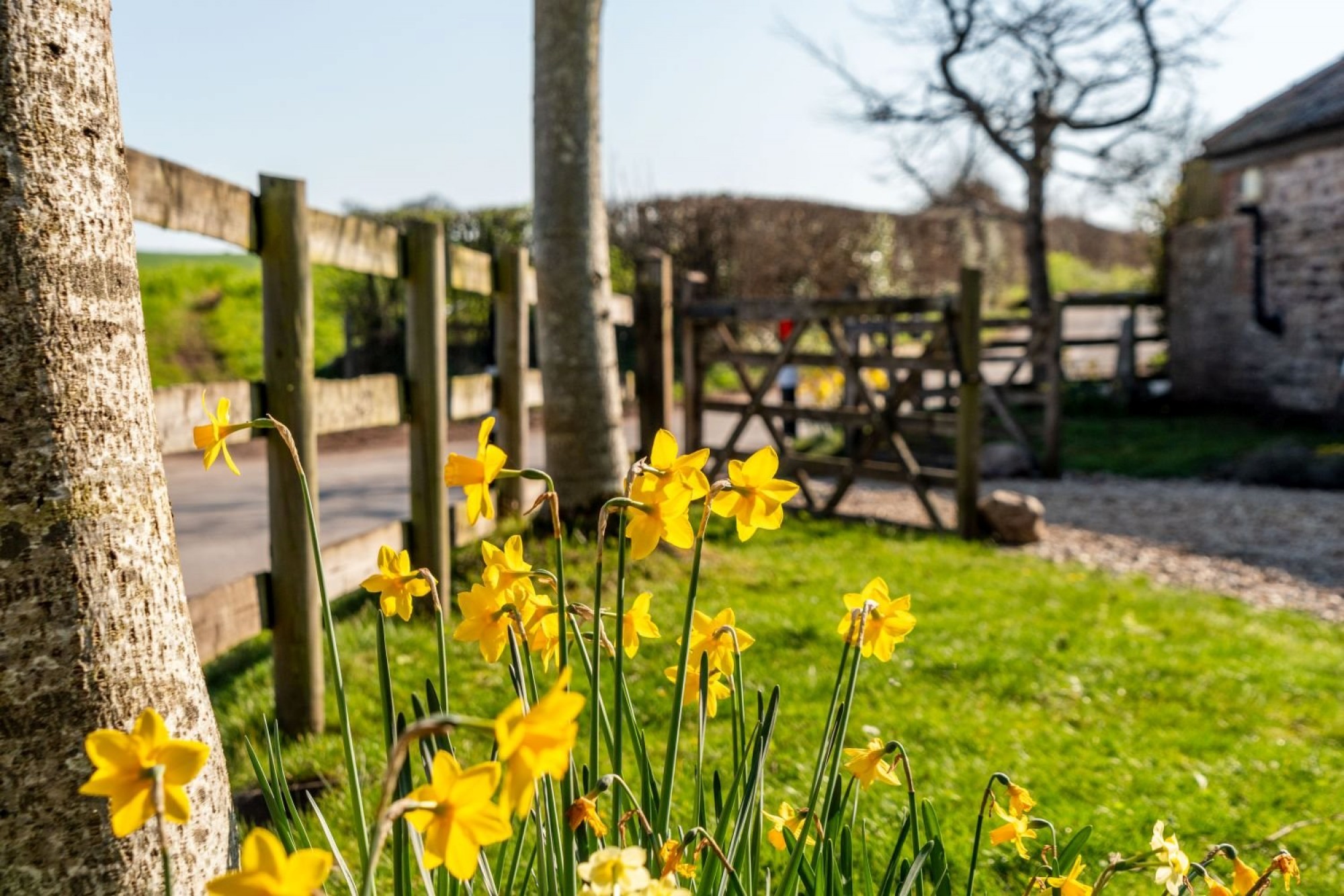 Images for Llantilio Crossenny, Abergavenny, Monmouthshire
