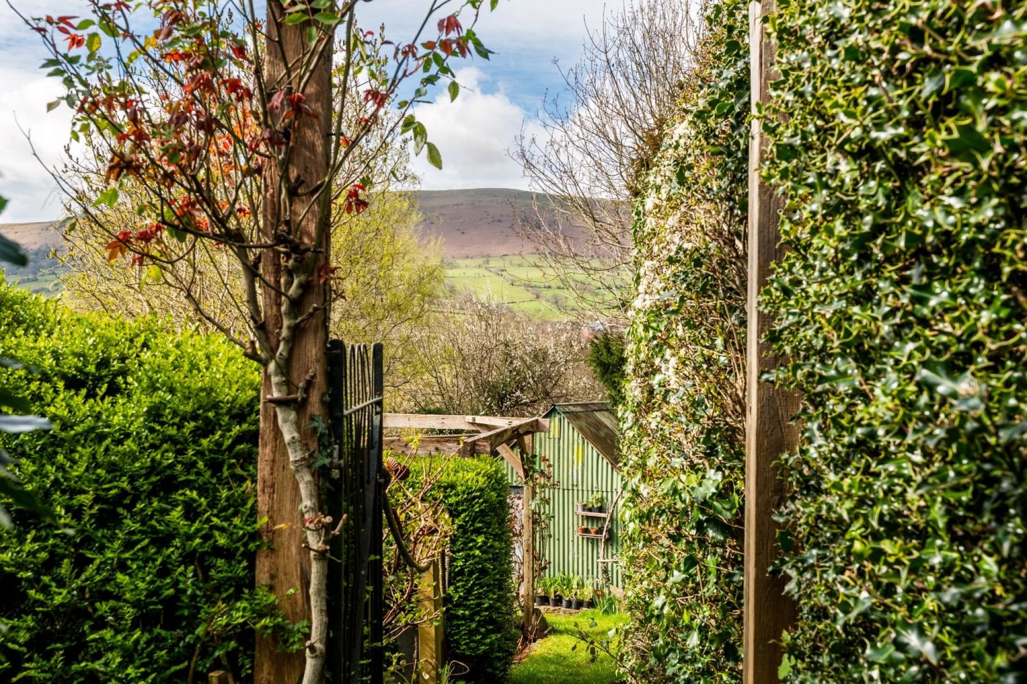 Images for Longtown, Hereford